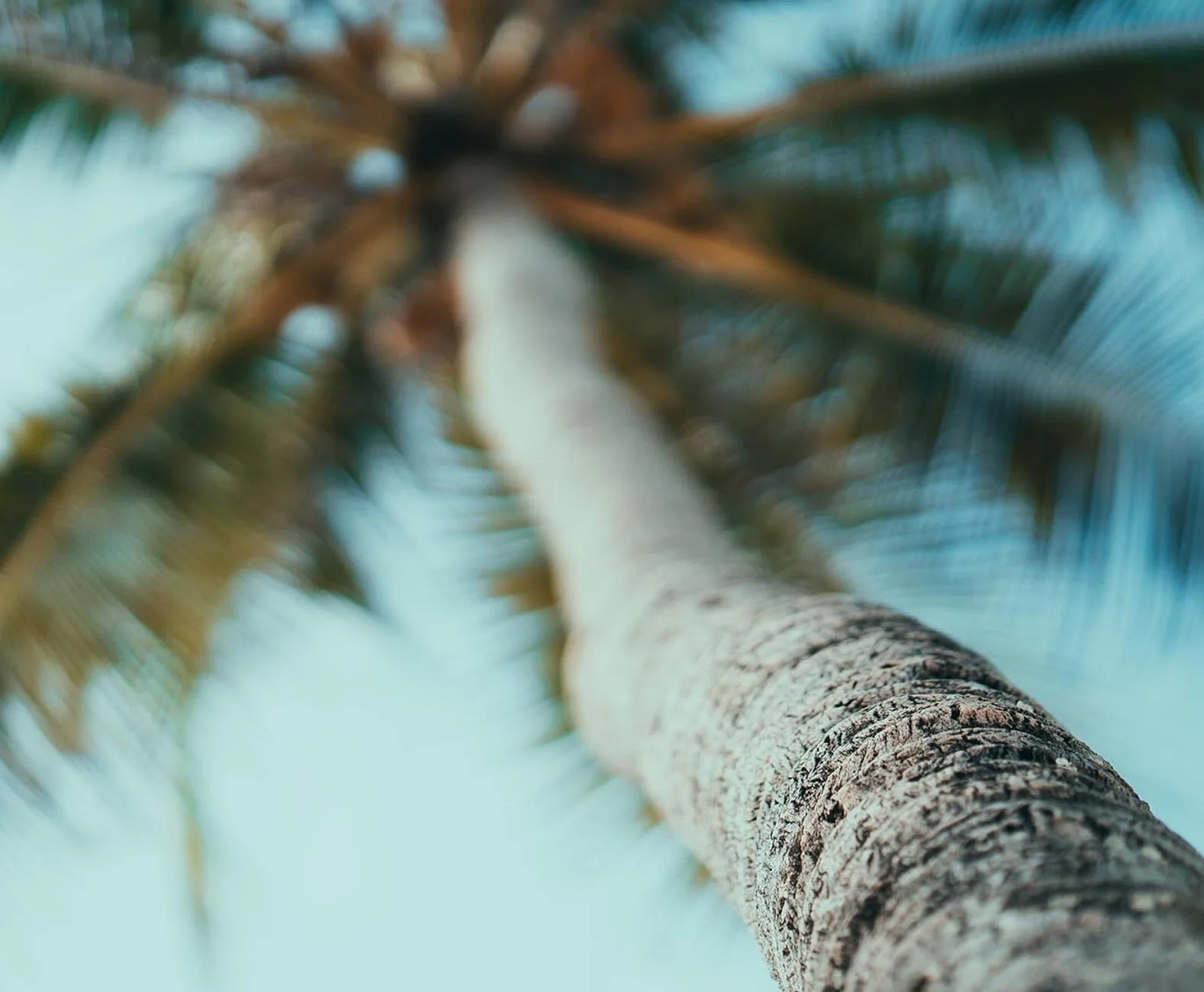 Indian Ocean Island Beaches in Tanzania