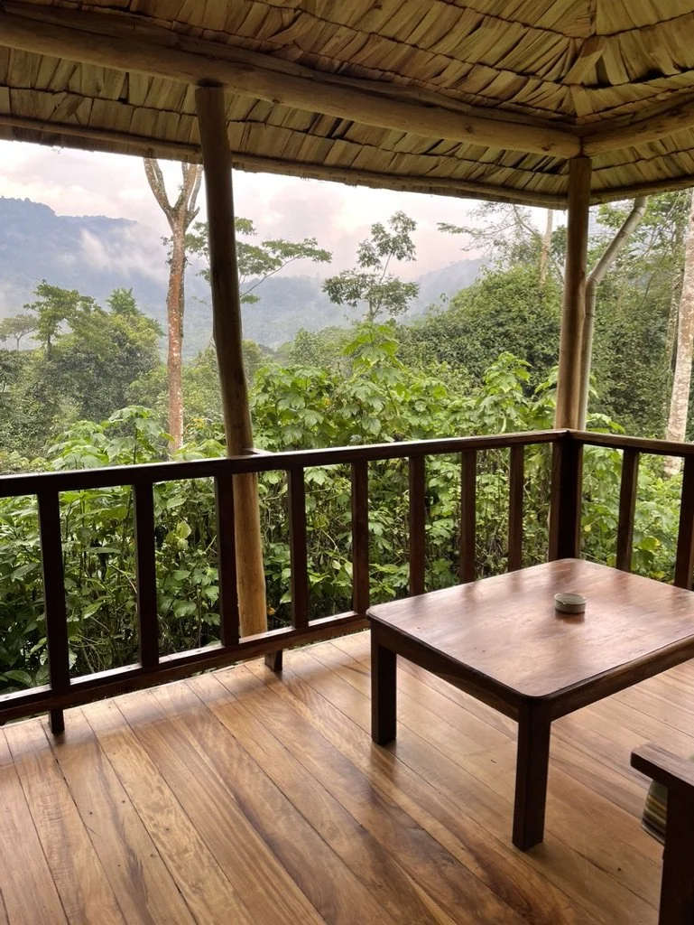 Gorilla Forest Camp: Bwindi Impenetrable National Park, Uganda