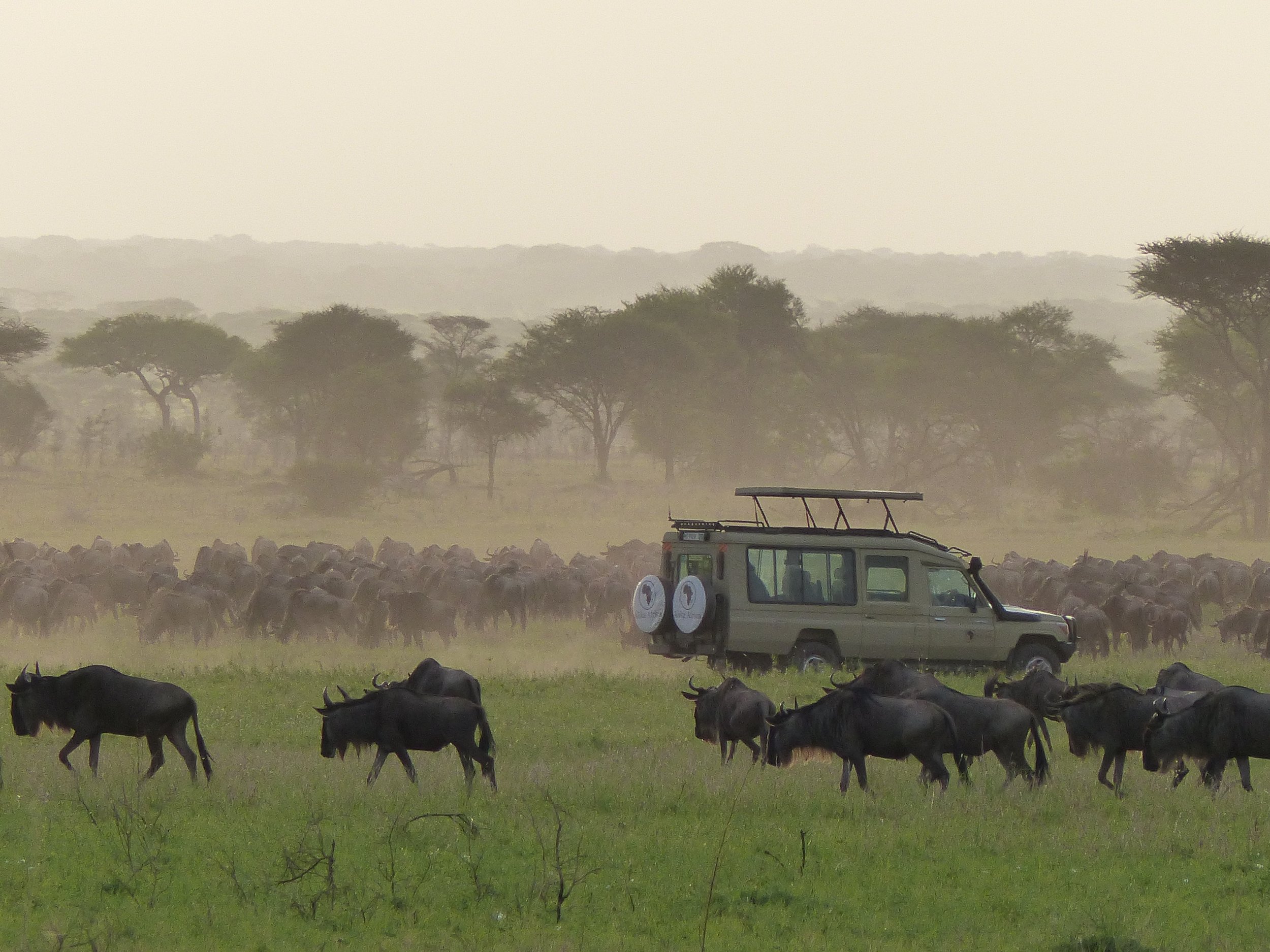 2023 Company Updates