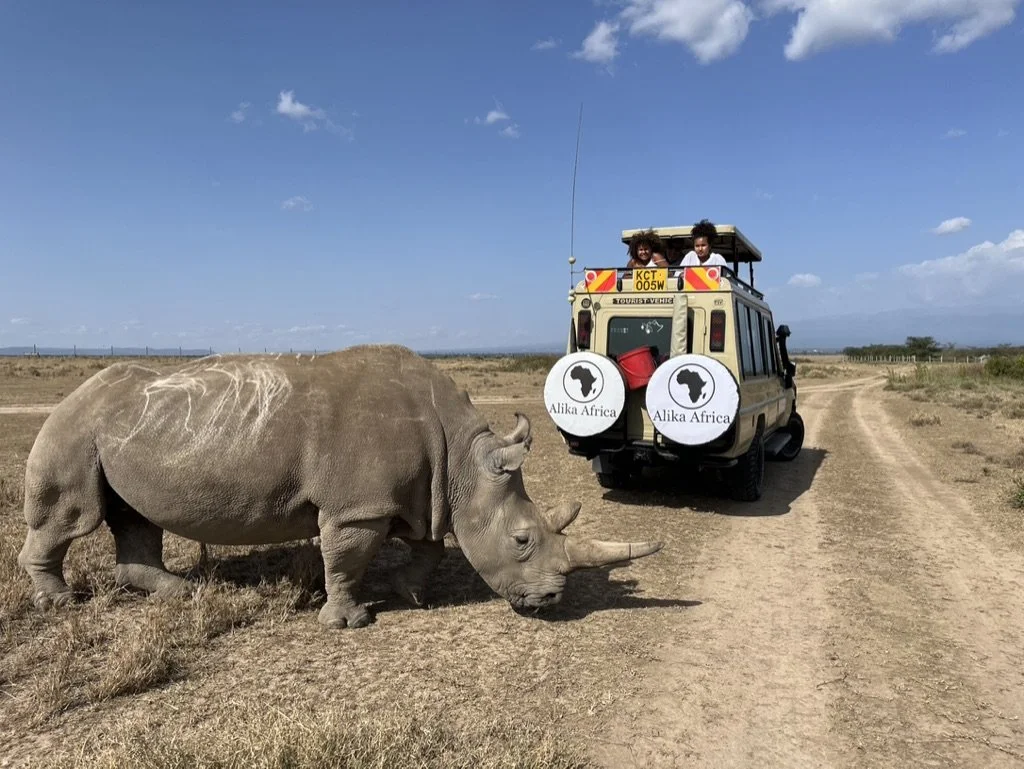 Watch our East African Video Journey! Short Clips from Wildlife Safaris, Gorilla Treks, Kilimanjaro Climbs, and Life in Zanzibar