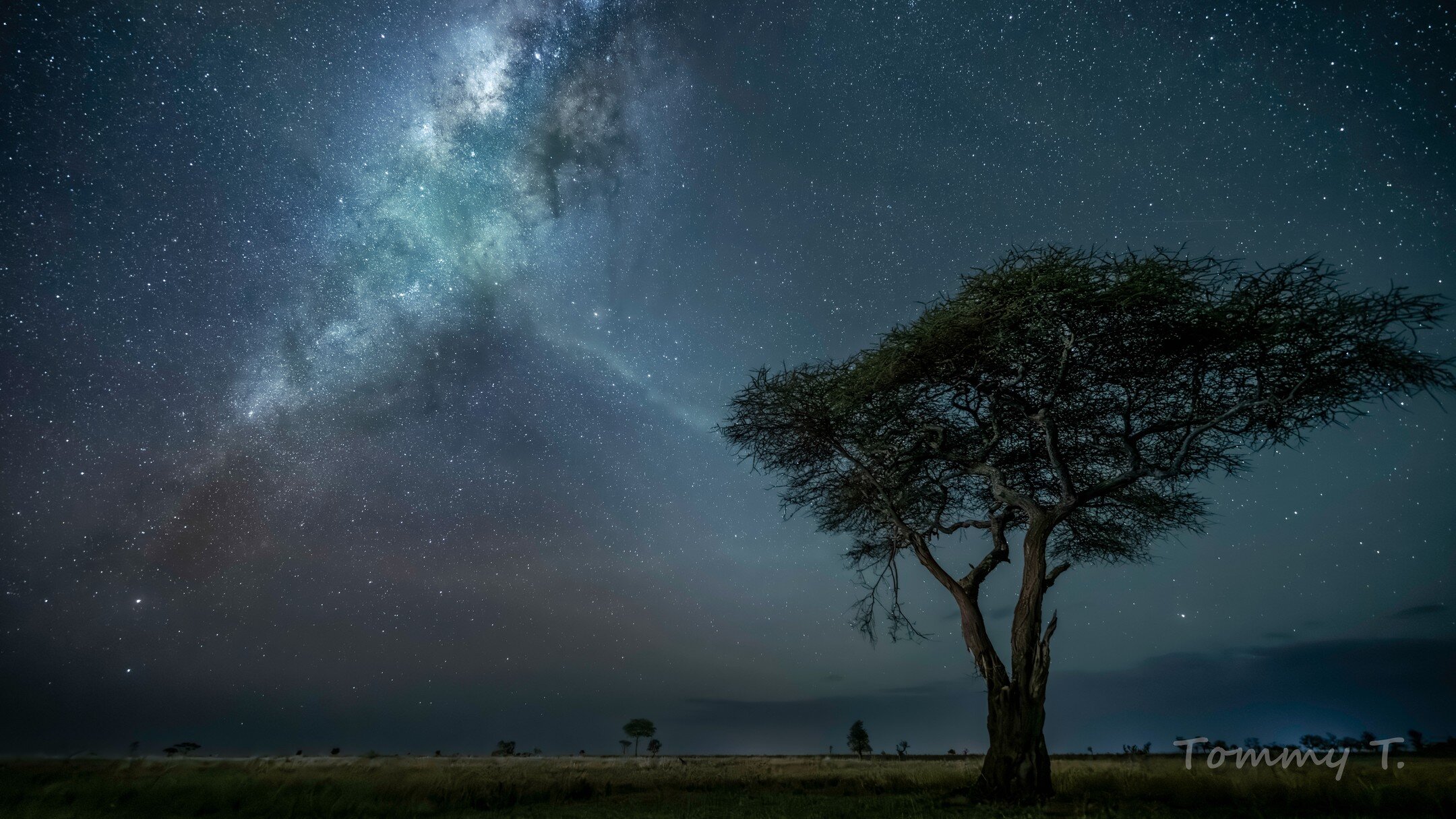 One of my favorite customer photos from 2023! Thanks to @tommy.tse for sharing! This image was taken from Nyumbani Camp in Central Serengeti in September, 2023.