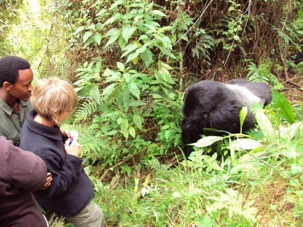 How to Prepare for an Unforgettable Rwanda Gorilla Trekking Adventure