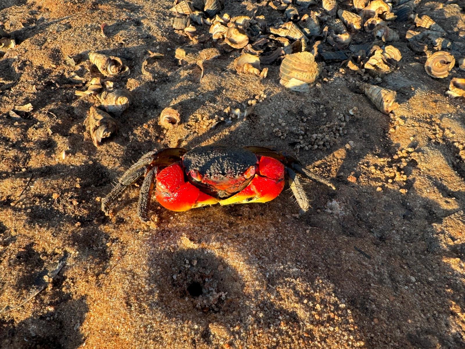 WhatsApp Image 2024-12-10 at 10.18.02 (3).jpeg