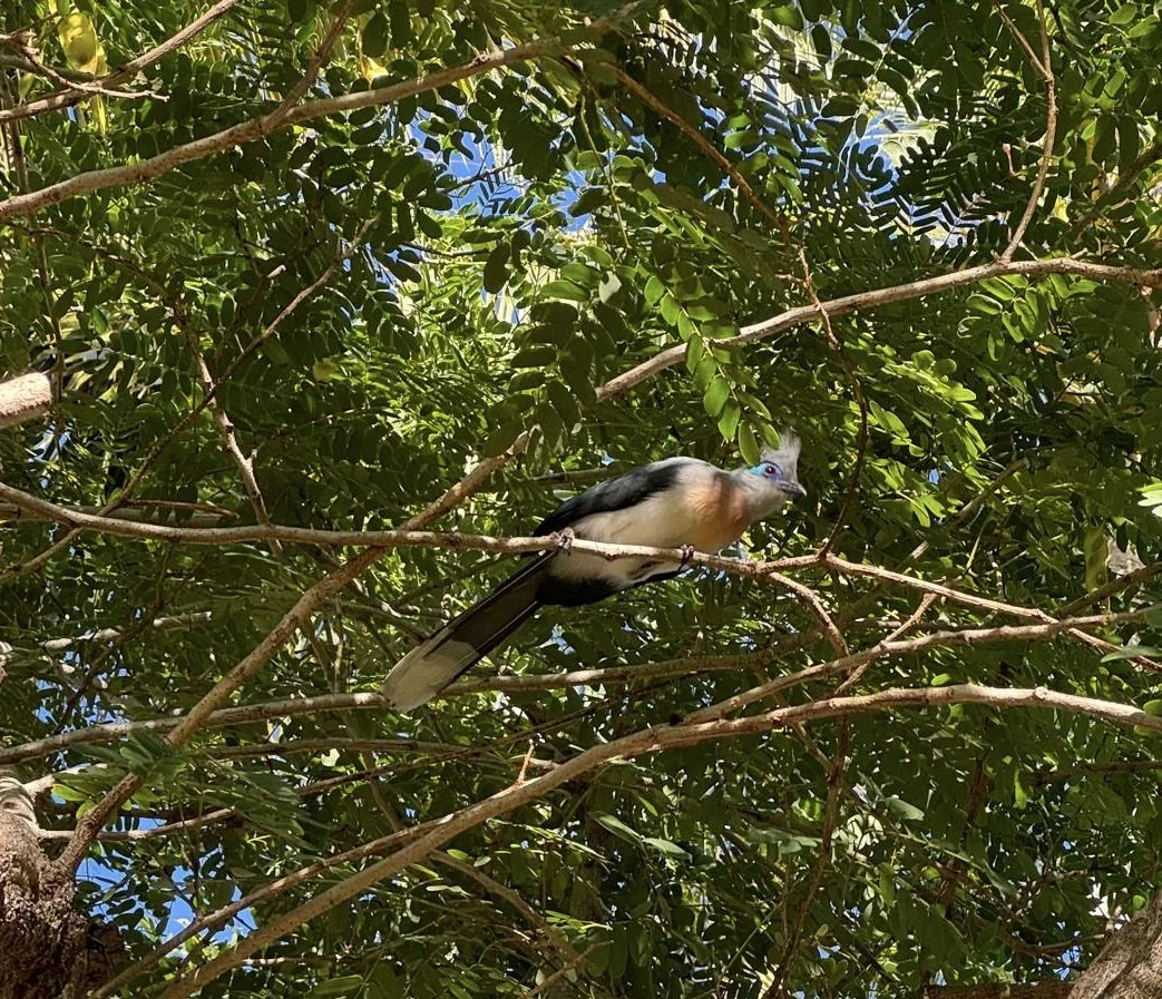 WhatsApp Image 2024-12-10 at 10.18.22 2.jpeg