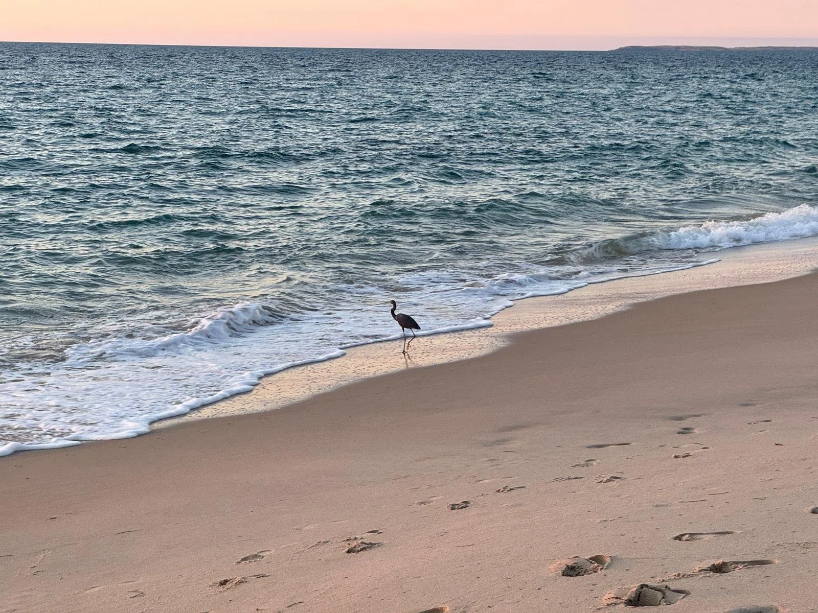 WhatsApp Image 2024-12-10 at 10.58.22.jpeg