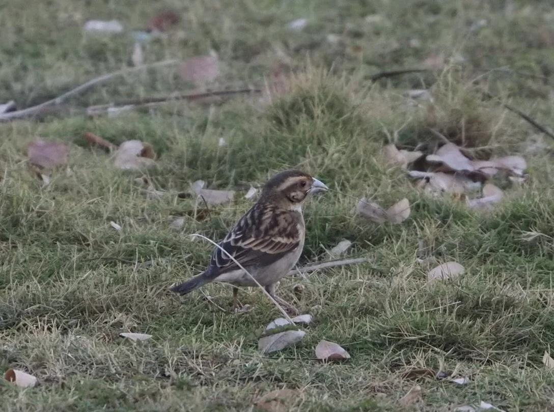 WhatsApp Image 2024-12-10 at 10.58.07 2.jpeg