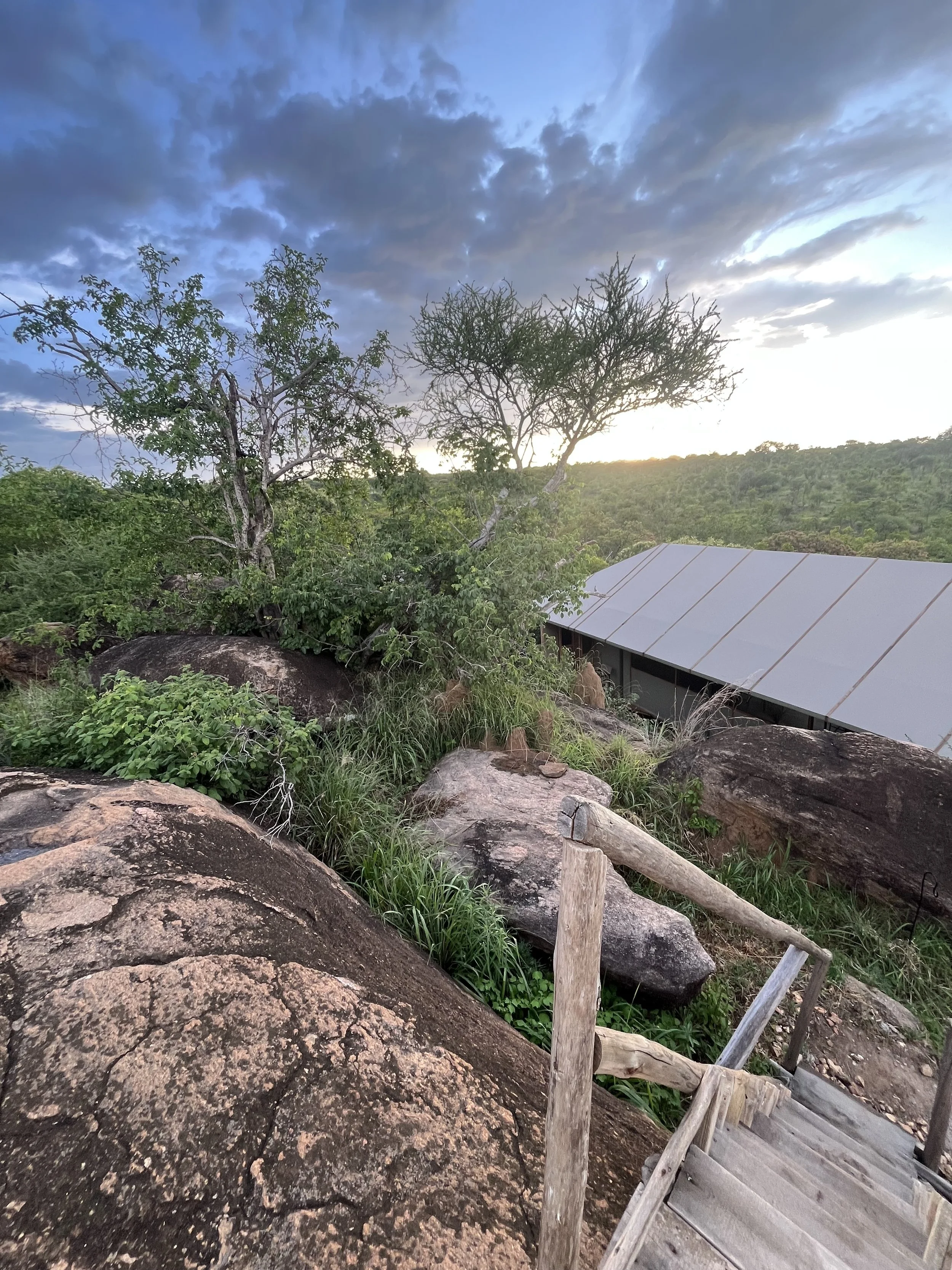 ladder to sunset view.jpg