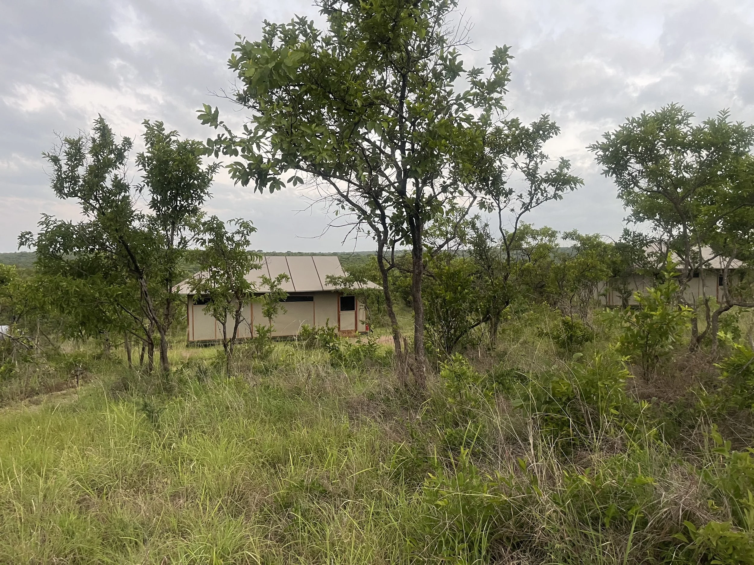 cabin at a distance.jpg