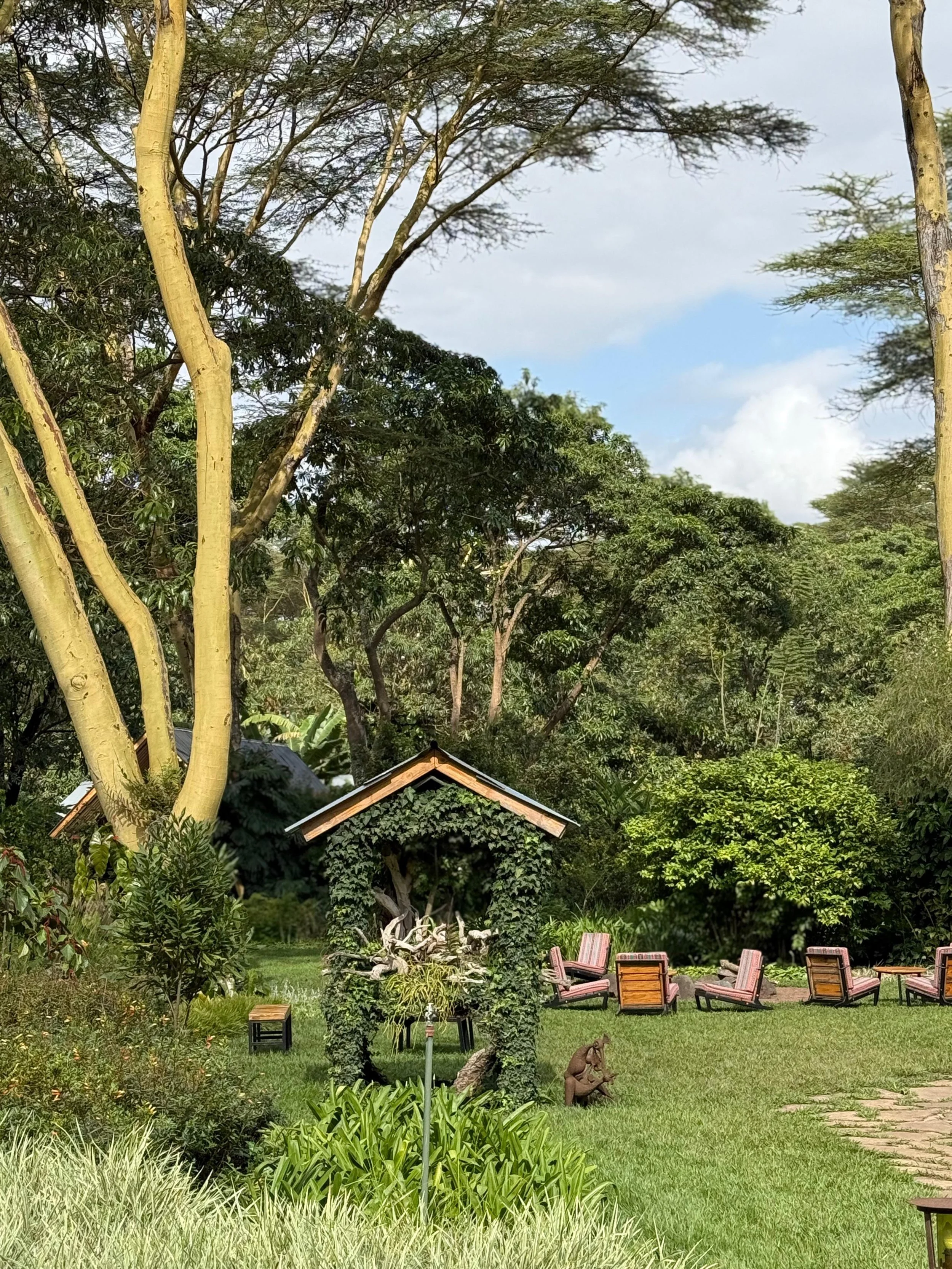 WhatsApp Image 2025-07-04 at 12.29.54.jpeg