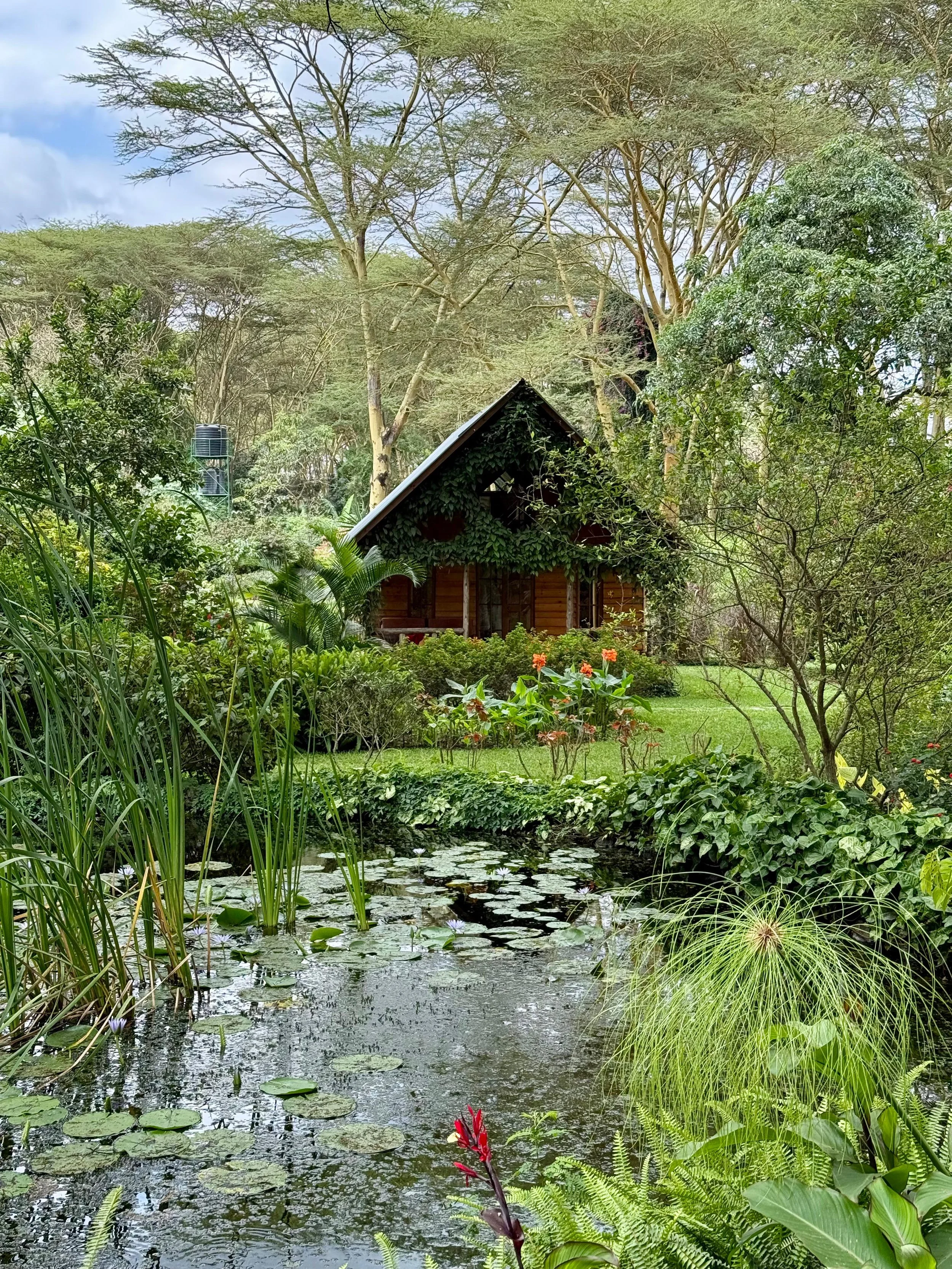 WhatsApp Image 2025-07-04 at 12.30.08.jpeg