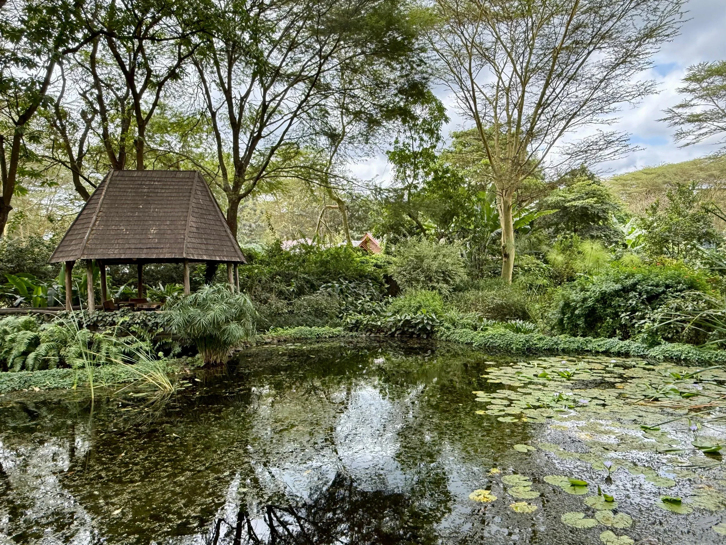 Tumbili Lodge - Arusha, Tanzania