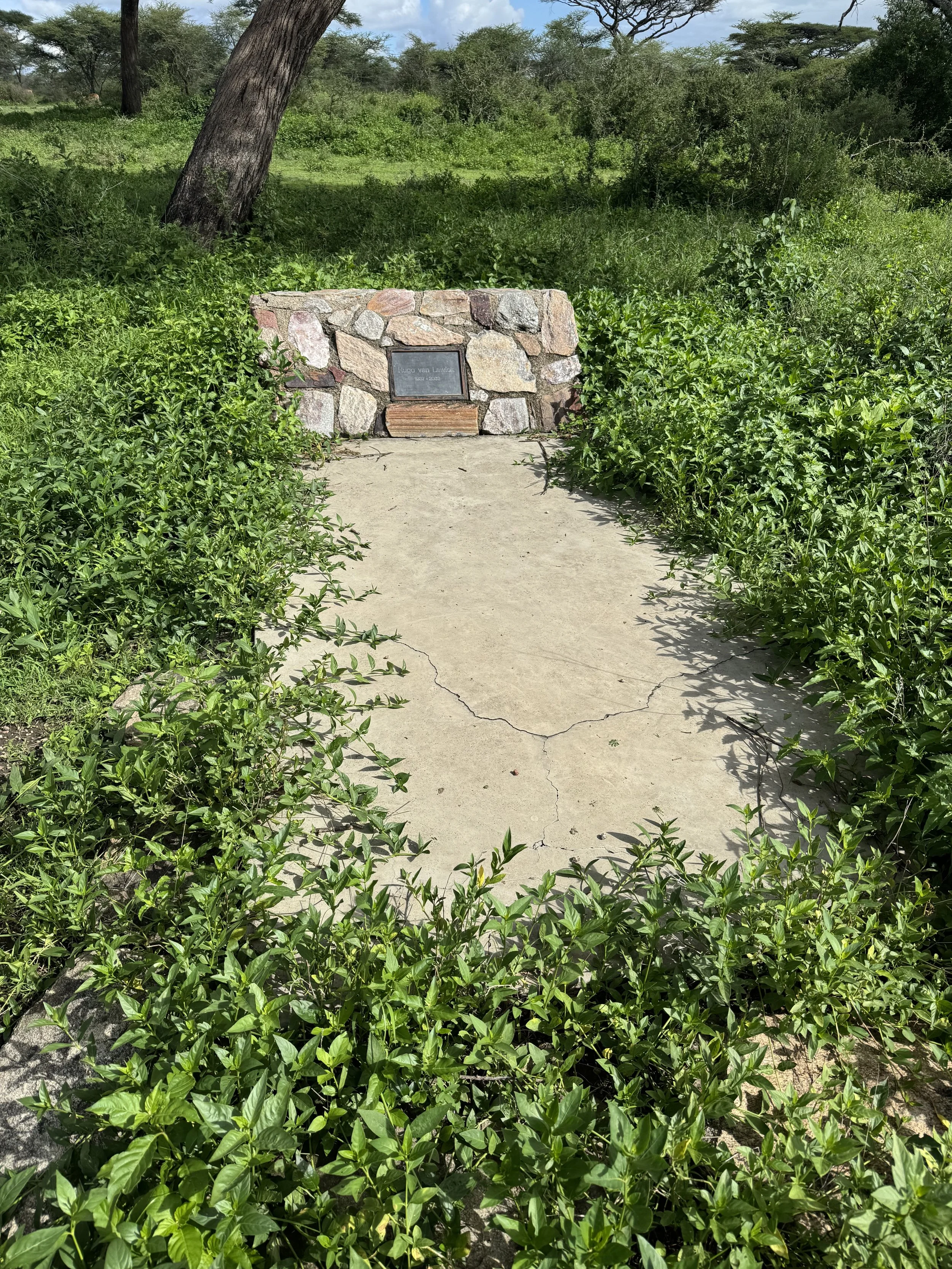 Hugo van Lawick grave