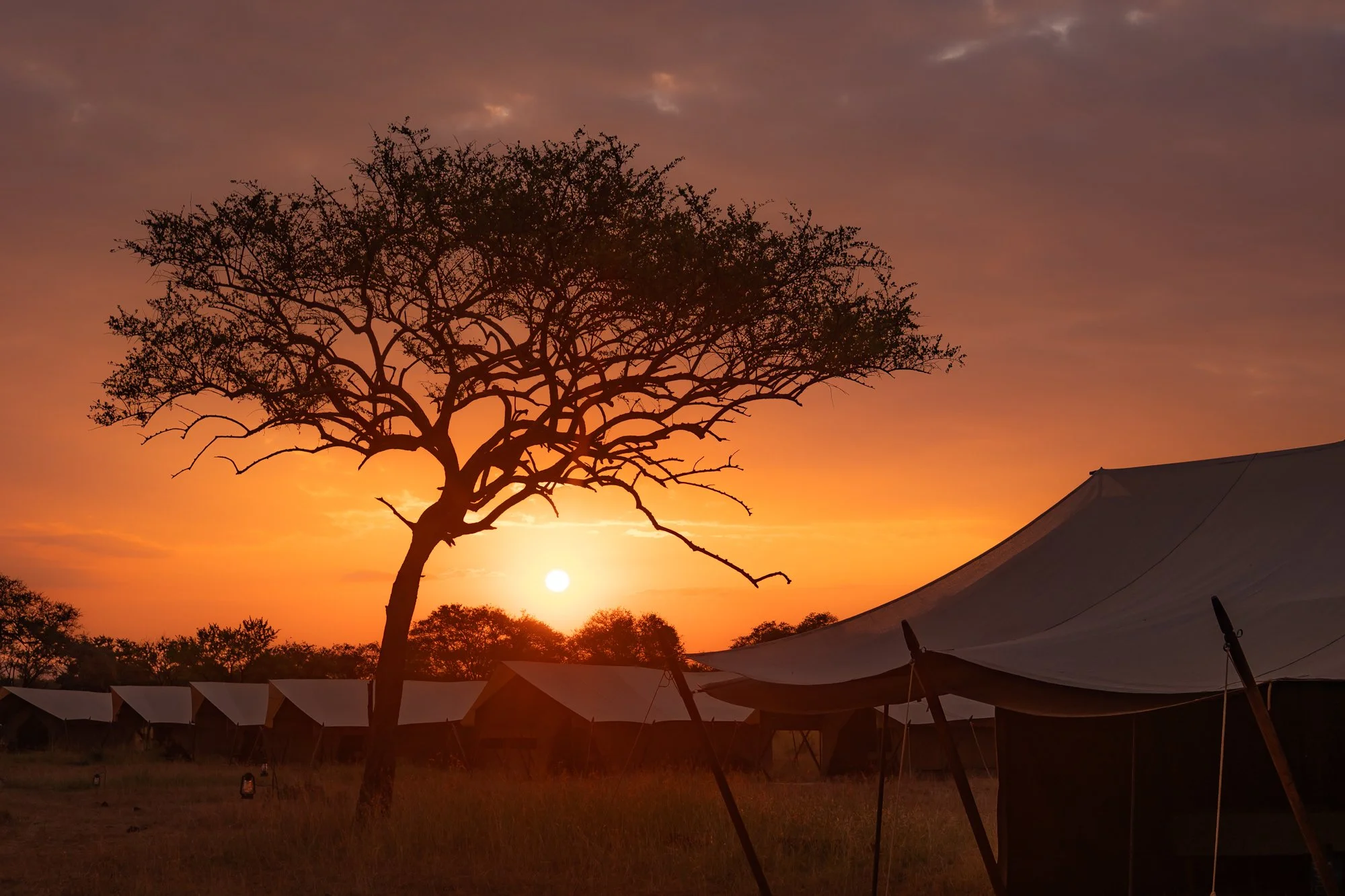 Camp Zebra: Serengeti National Park &amp; Ngorongoro Conservation Area