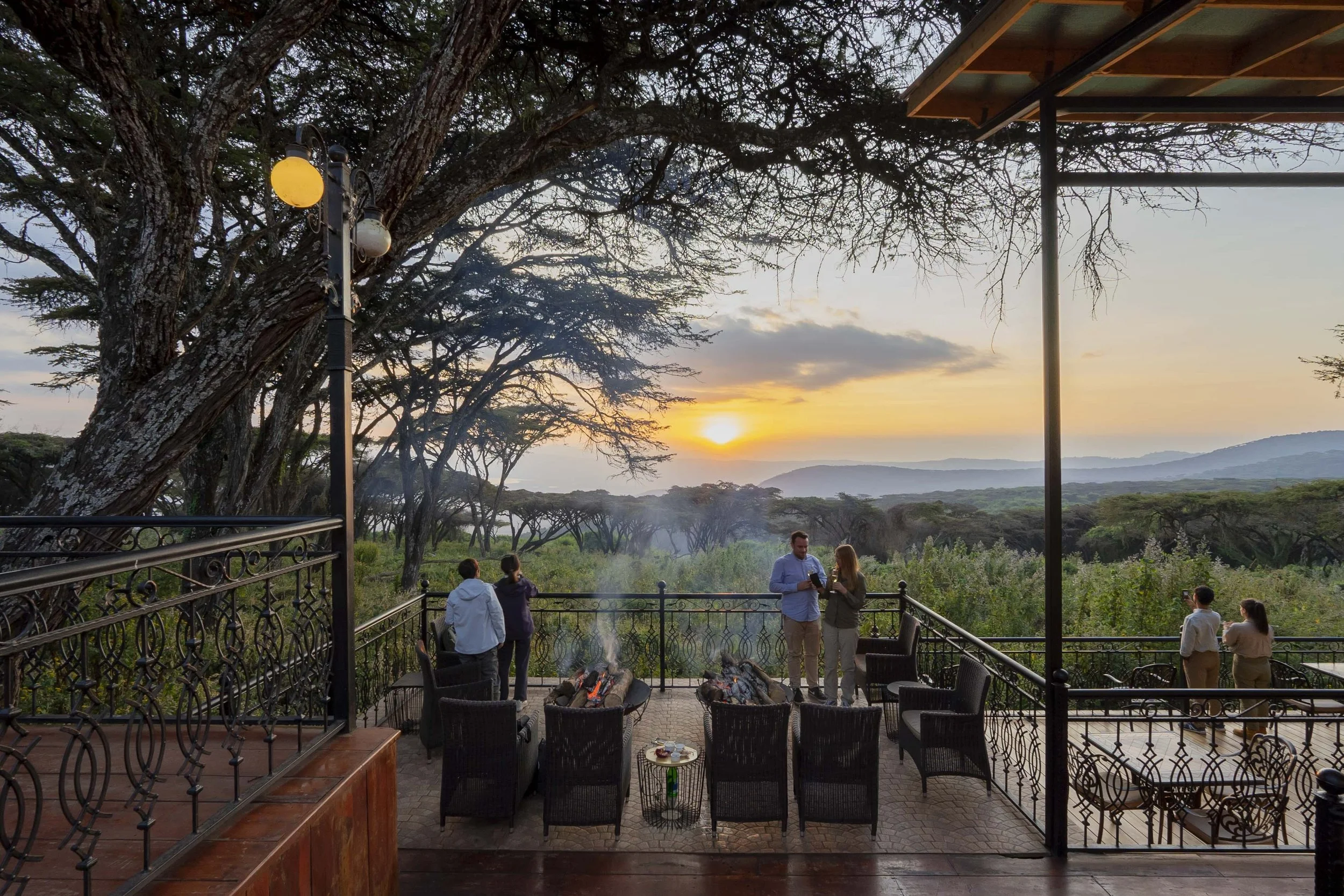Lions Paw: Ngorongoro Conservation Area, Tanzania