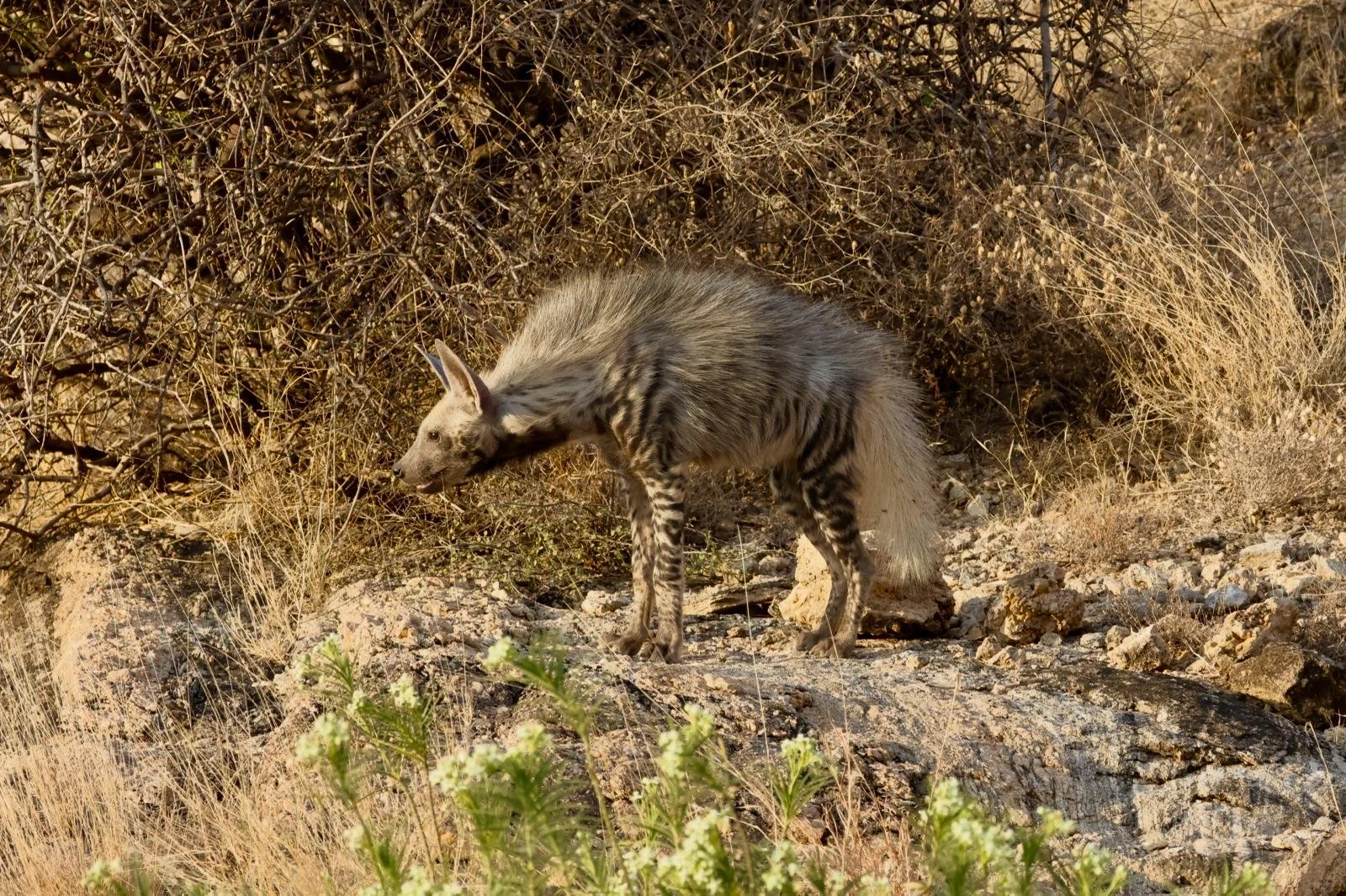 WhatsApp Image 2025-09-29 at 08.08.31.jpeg