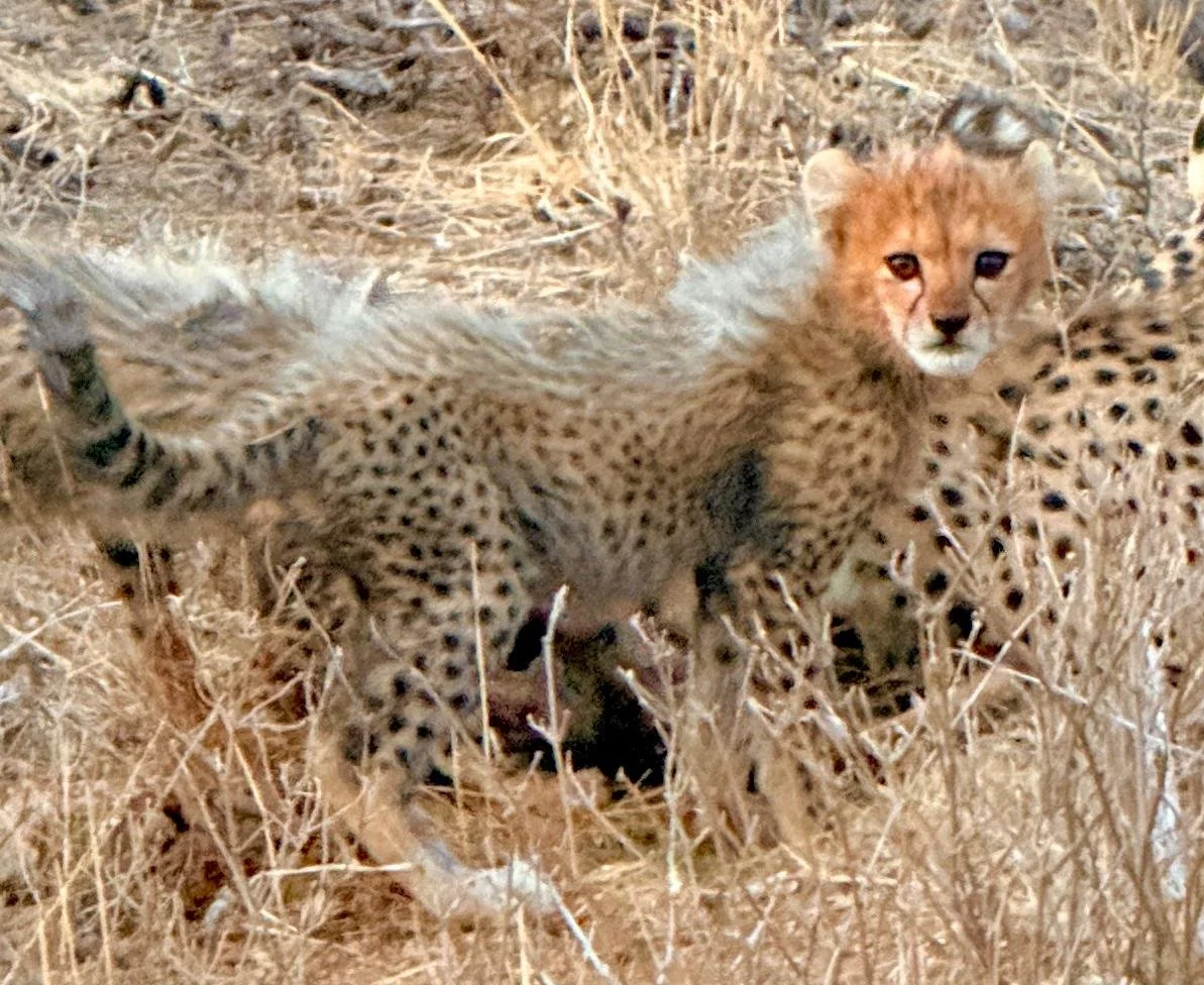 WhatsApp Image 2025-09-29 at 08.08.33 (1).jpeg