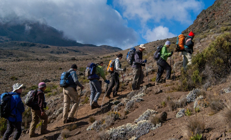 Best Moshi Kilimanjaro Climb Operator Guide (2026)