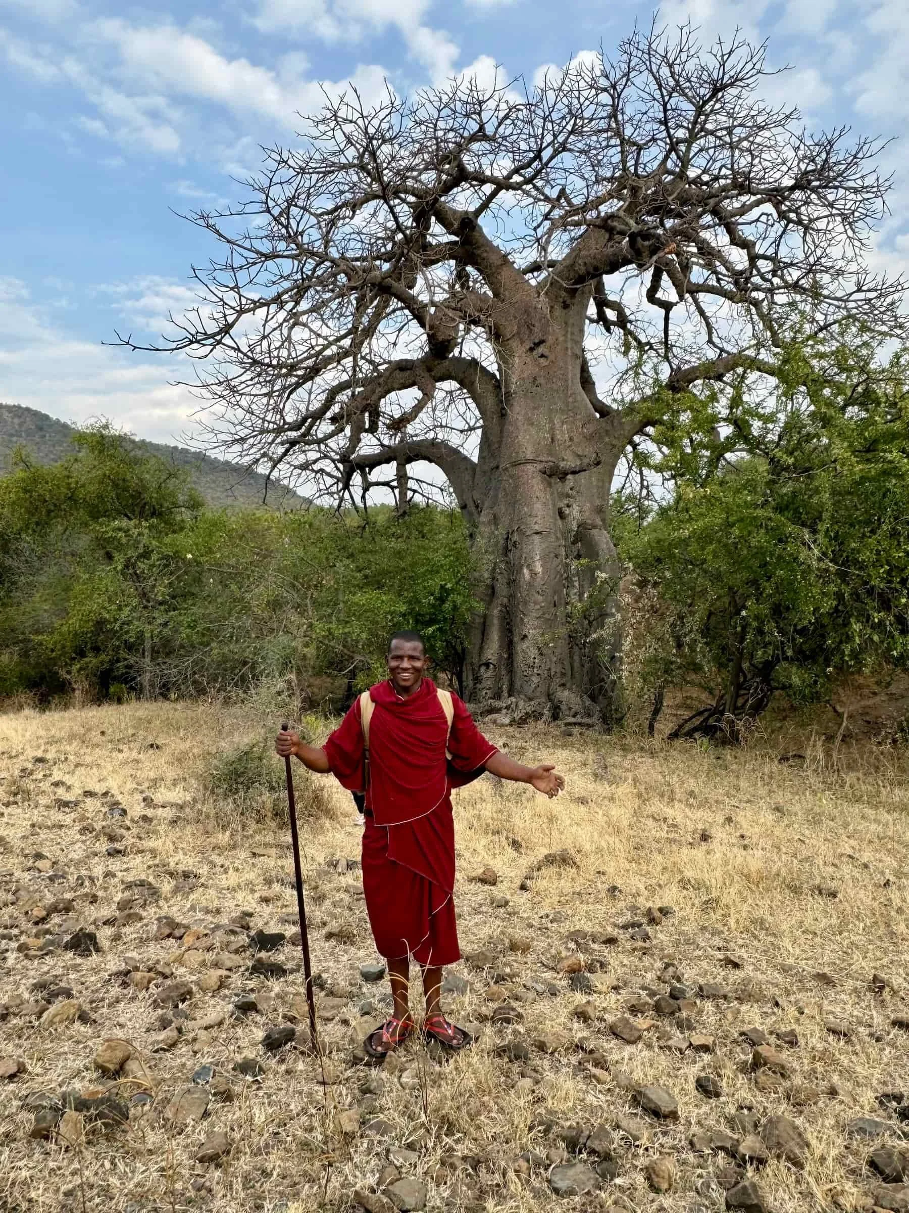 Maasai explaining uses of a baobab