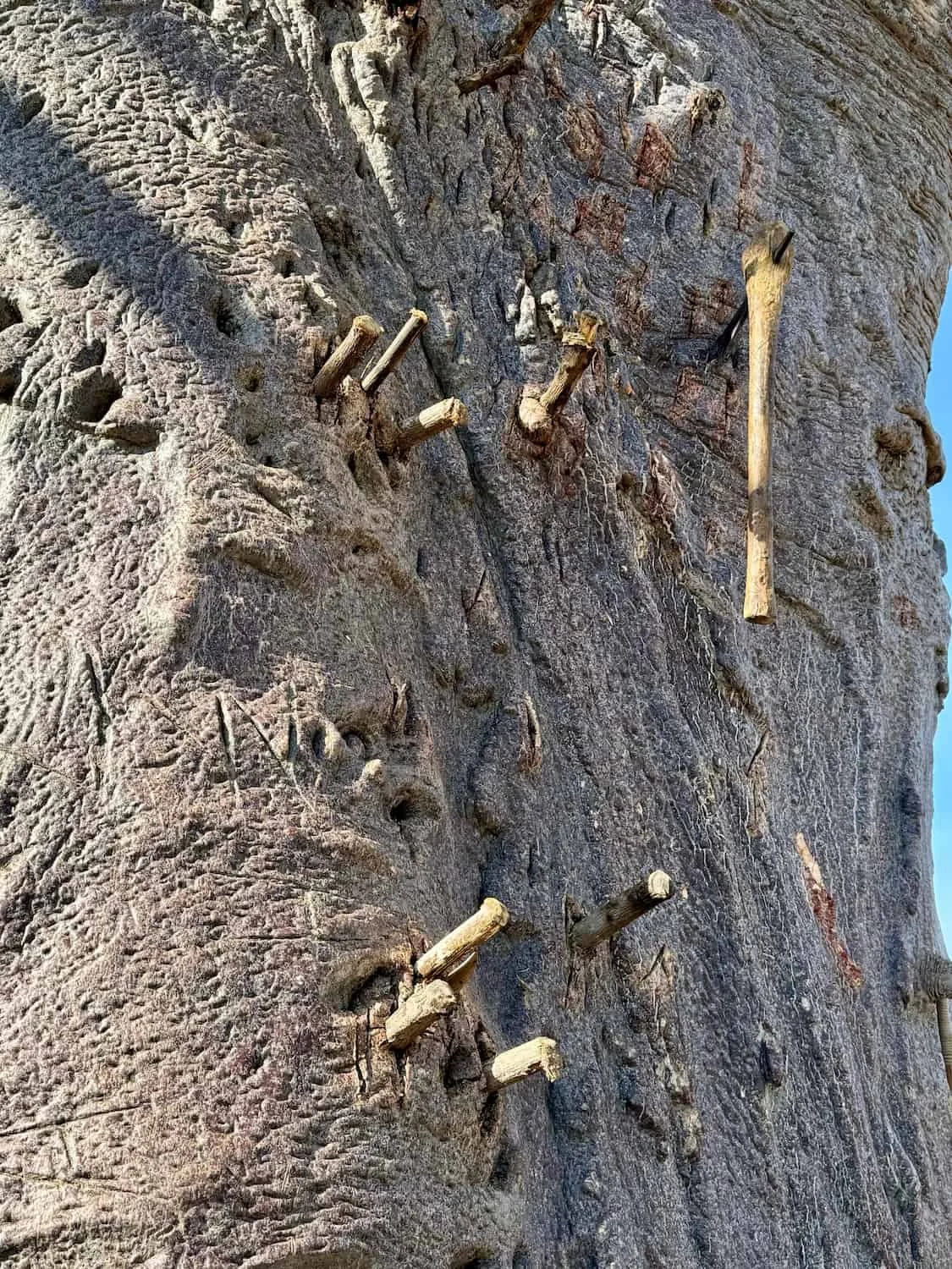 Hadzabe climbing steps