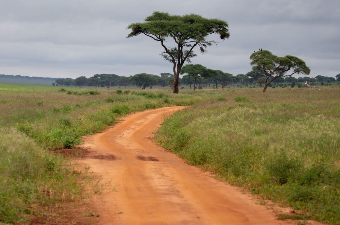 9 Best East Africa Safari Trips for 2026: Costs & Tips