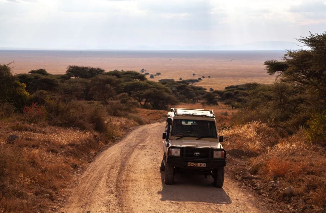 East Africa Itinerary 2026: Safari Routes, Permits & Tips