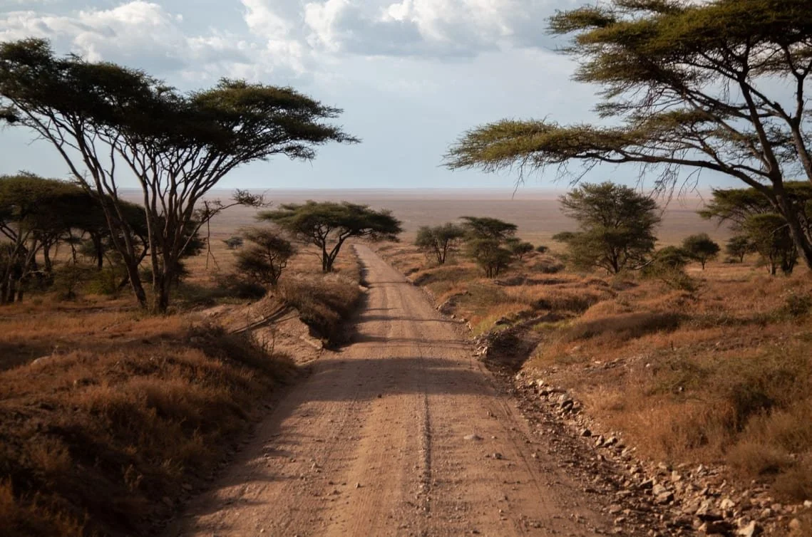 Explore Kenya: 2026 Safari Glossary & Itinerary Decoder