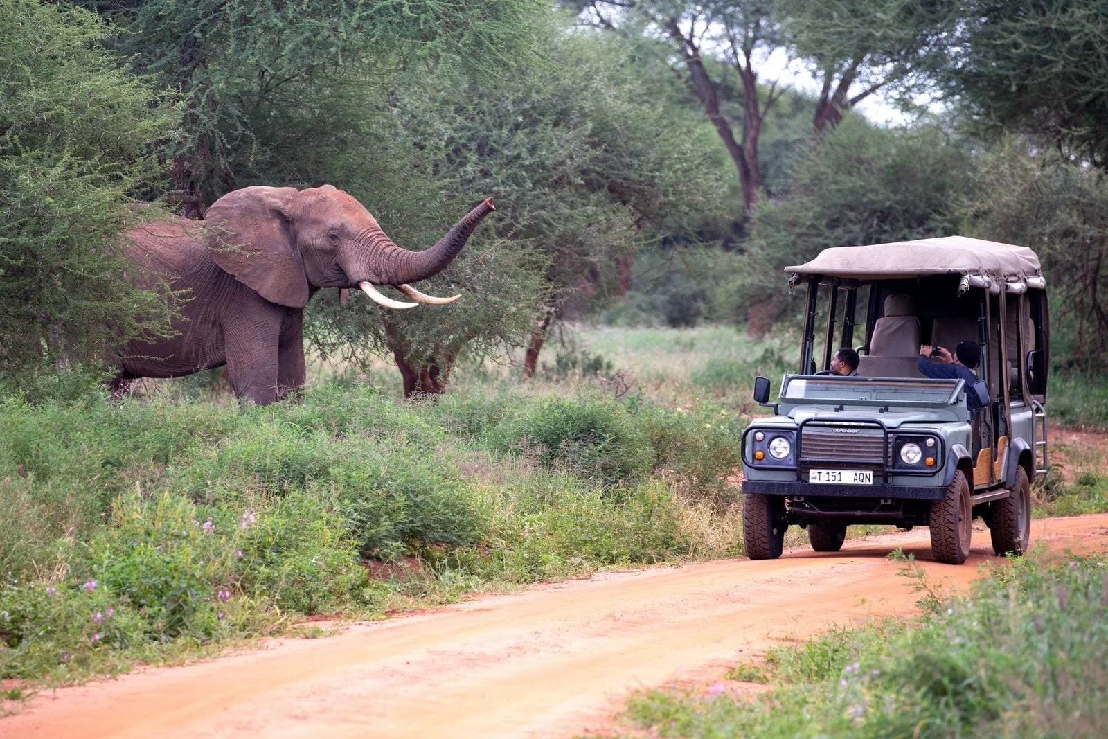 Cultural Safaris Tanzania: How to Avoid the $50, 10-Minute Maasai Stop