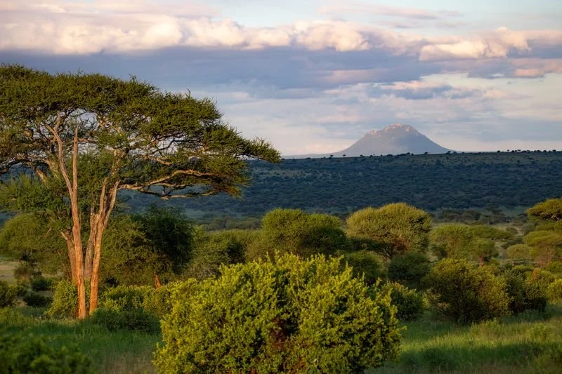 Private Tanzania Safari 2026: 9 Best Options & Costs
