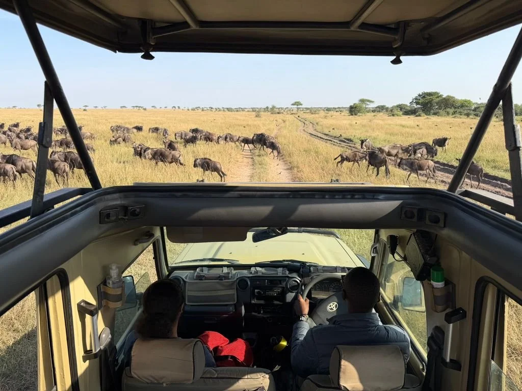 Tanzania Safaris: 7-10 Day Itineraries, Costs & Guide (2026)