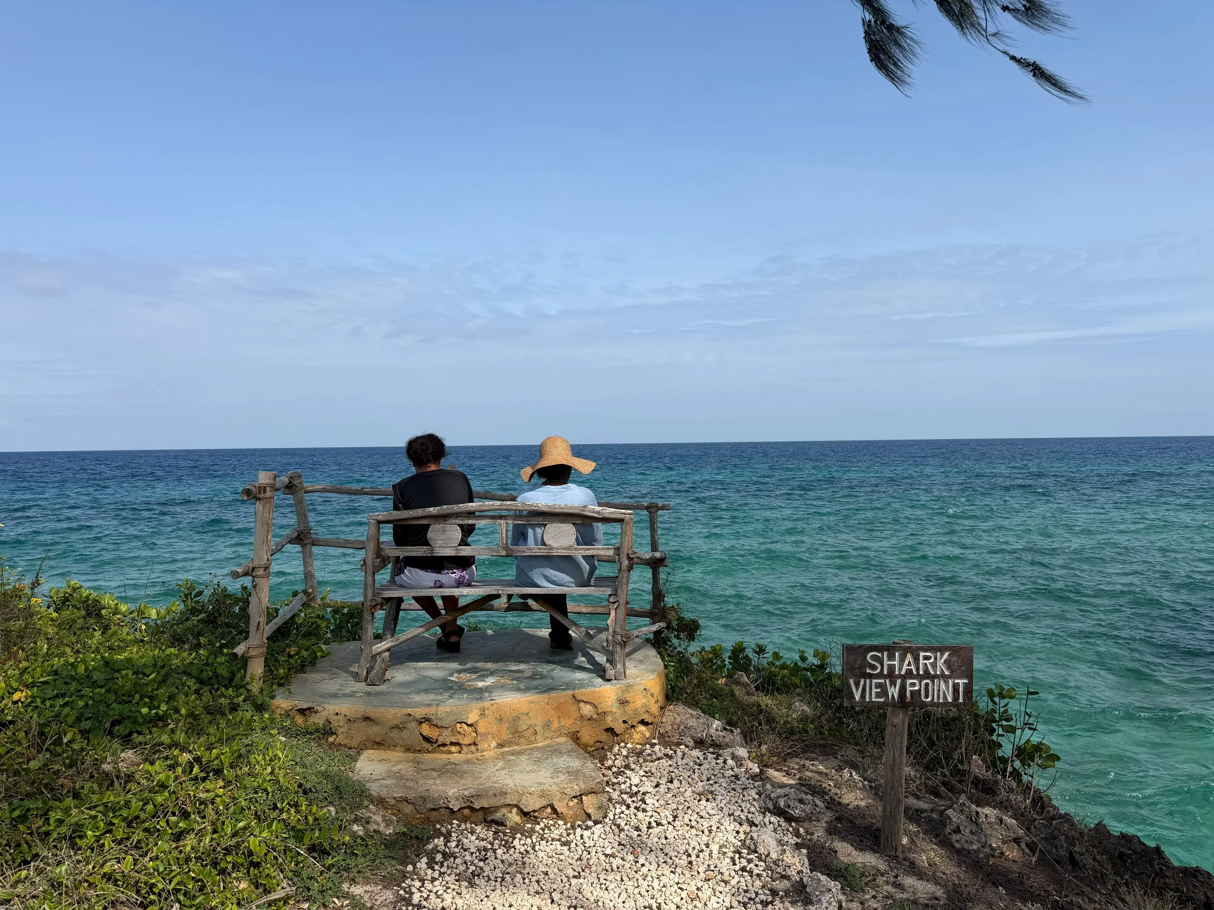 Zanzibar Cost 2026: The Complete Price & Fees Guide