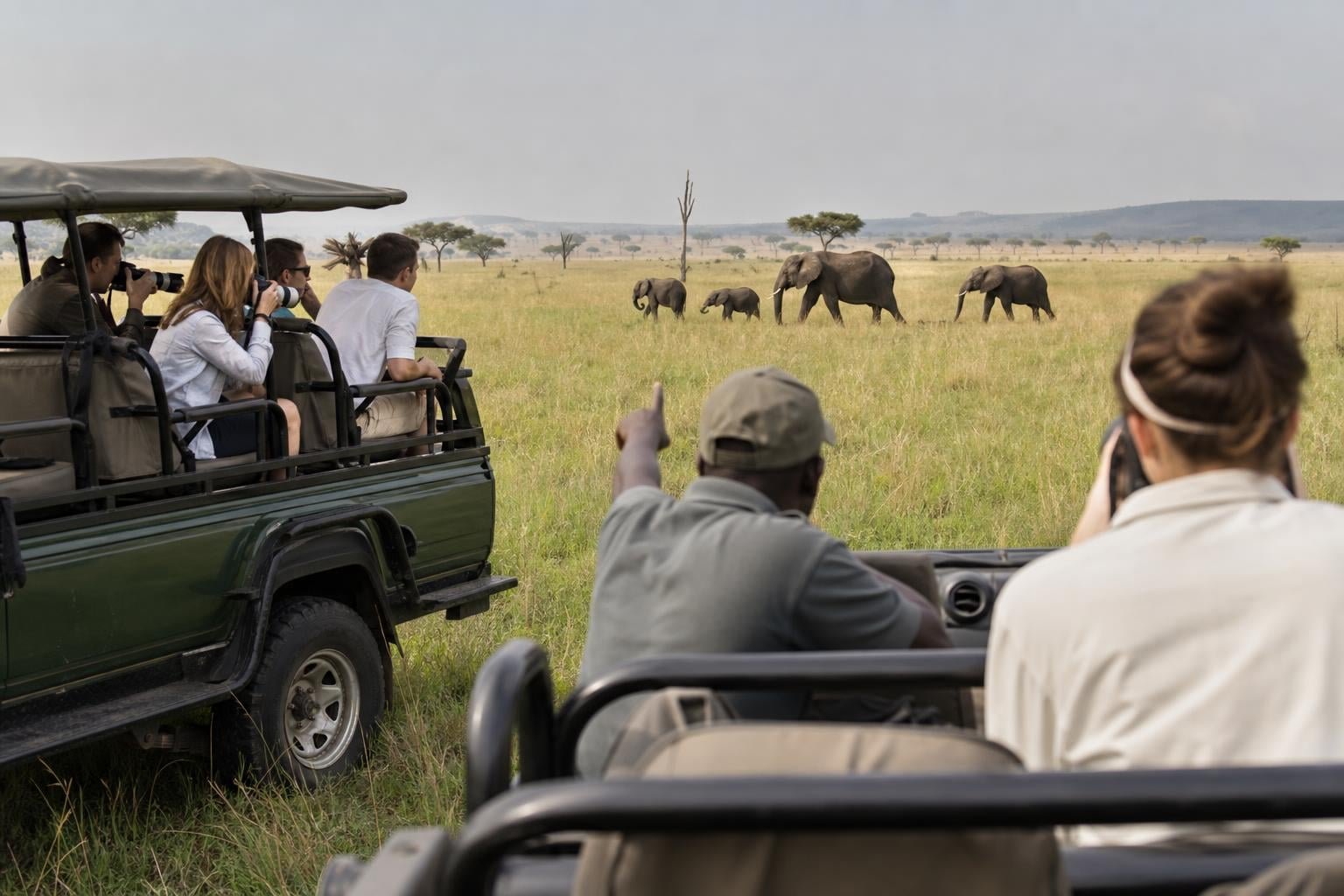 Safari Private vs Group: 2026 Costs, Pros & When to Choose