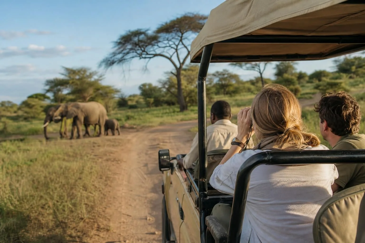 Safari Cost in Tanzania 2026: Prices, Fees & Glossary