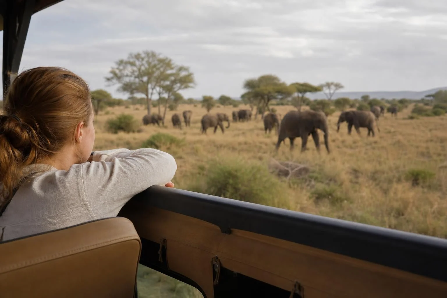 Tarangire Safari 2026: A–Z Terms for Your First Game Drive