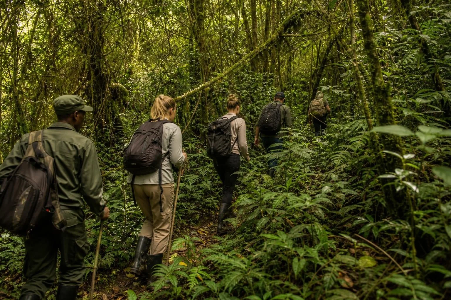 Gorilla Trekking FAQs 2026: Permits, Costs & What to Expect