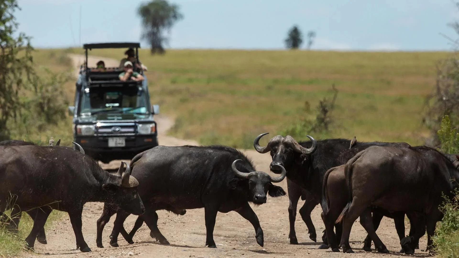 Family Safari Zanzibar: Complete A–Z Planning Guide 2026
