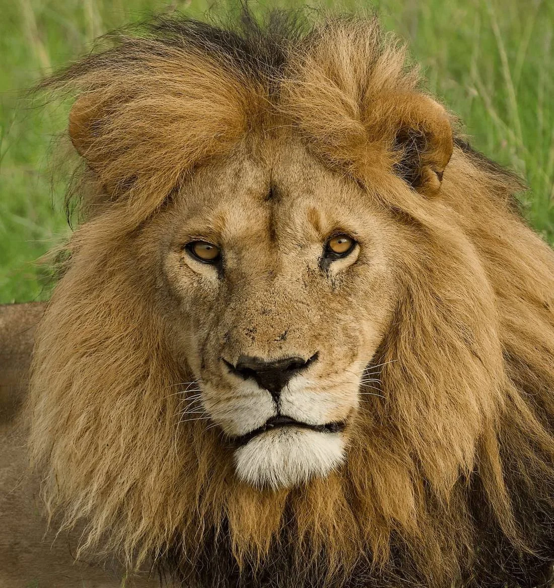 Kenya
