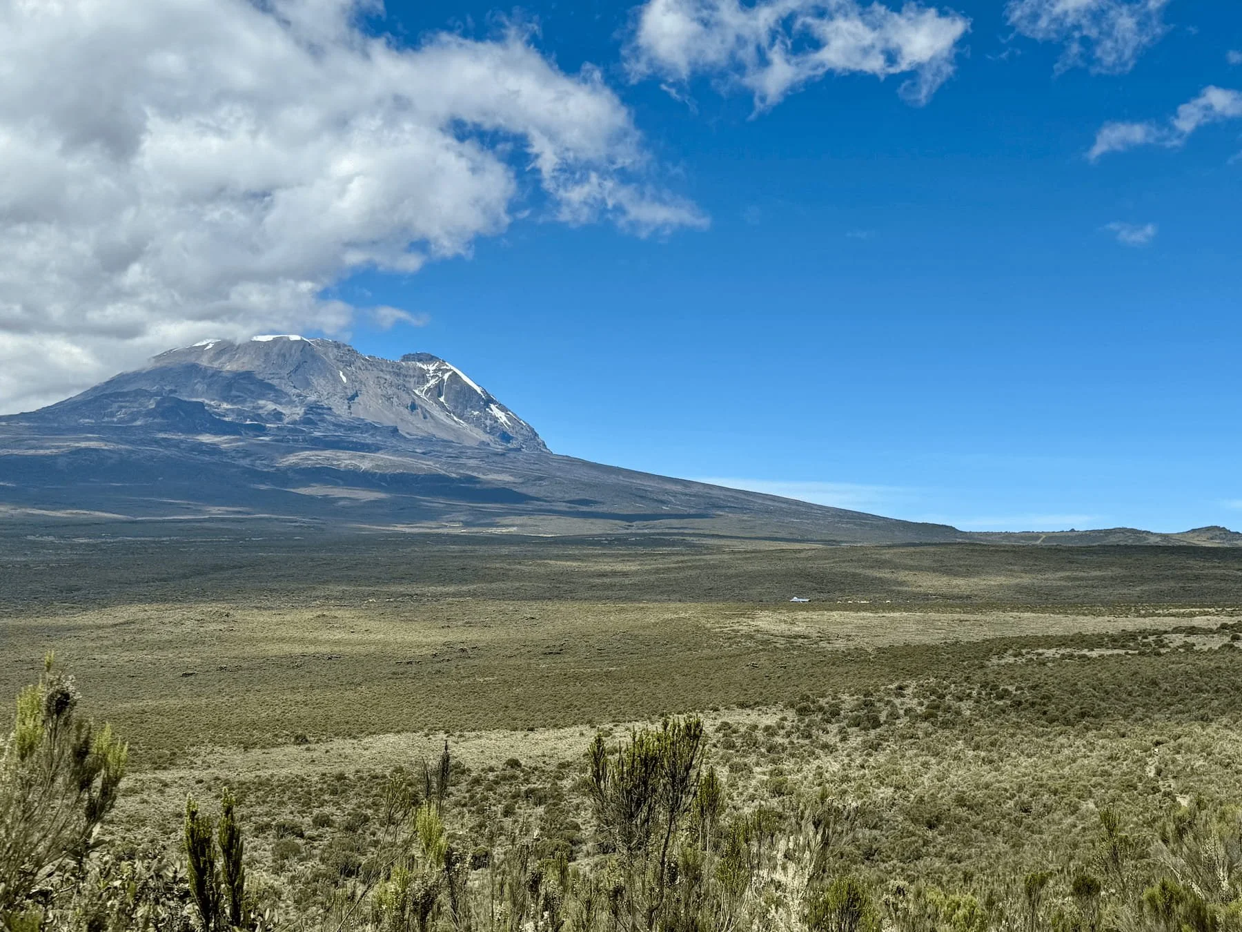 2026 Lemosho Route 8-Day Climb