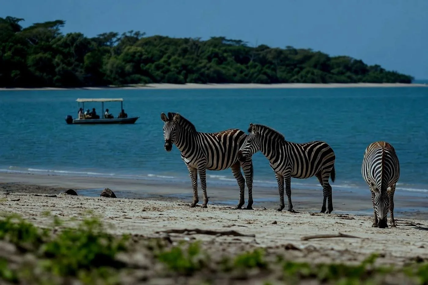Mountains, Safari & Beach