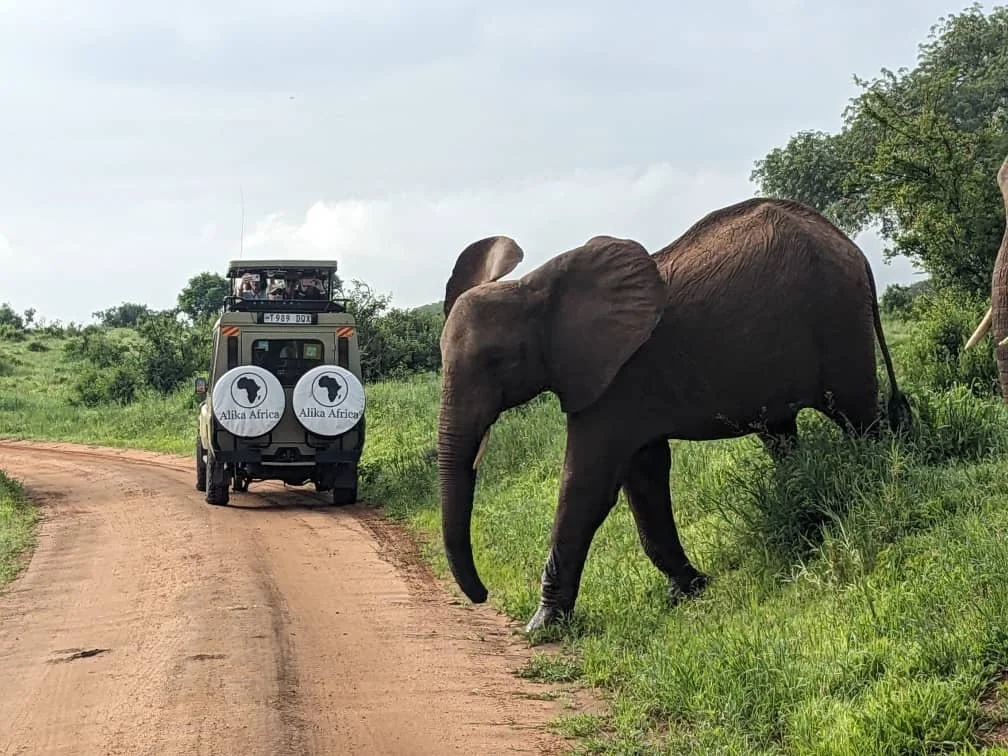 New Mandatory Travel Insurance for Tanzania: What Safari Travelers Need to Know