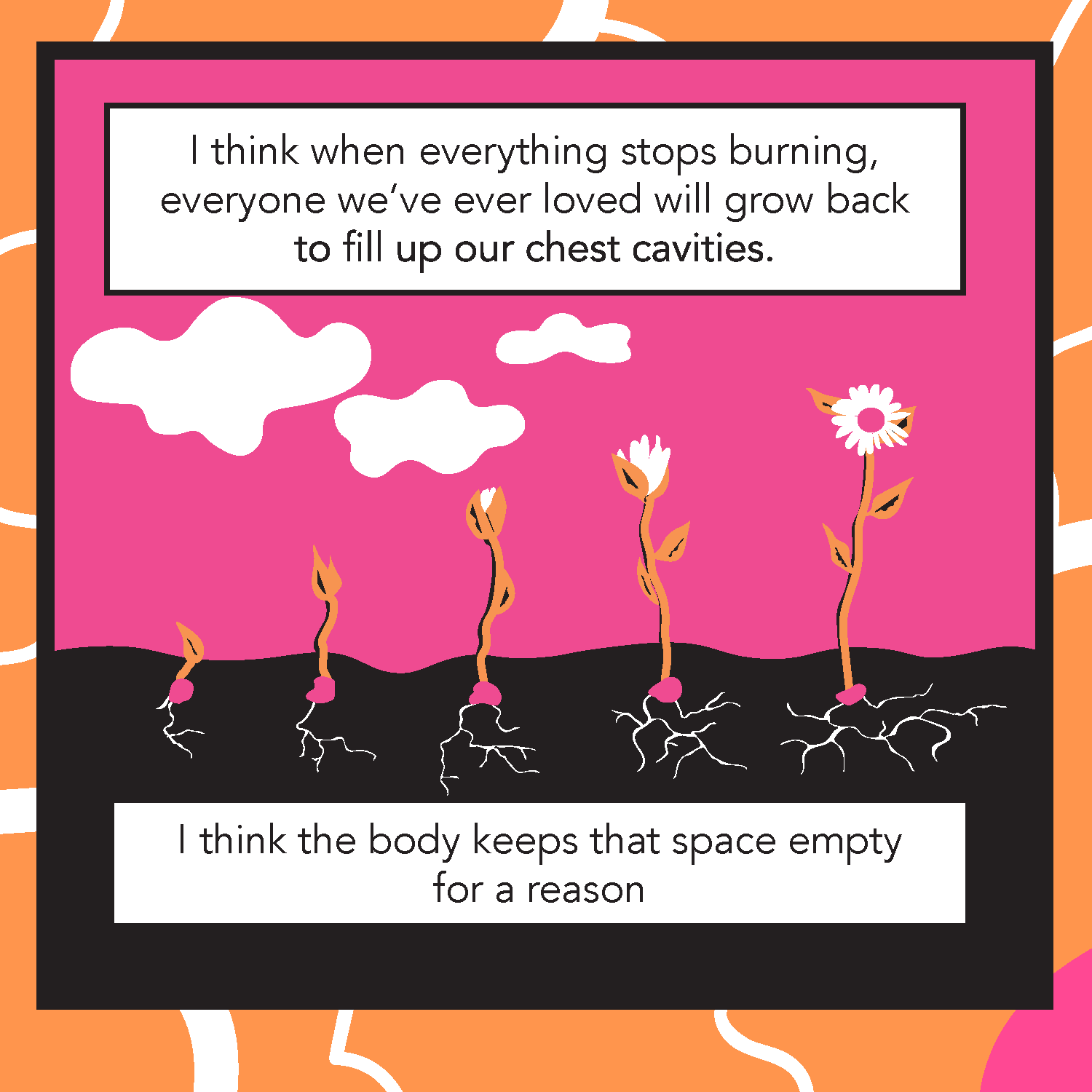Wildflowers-14.png