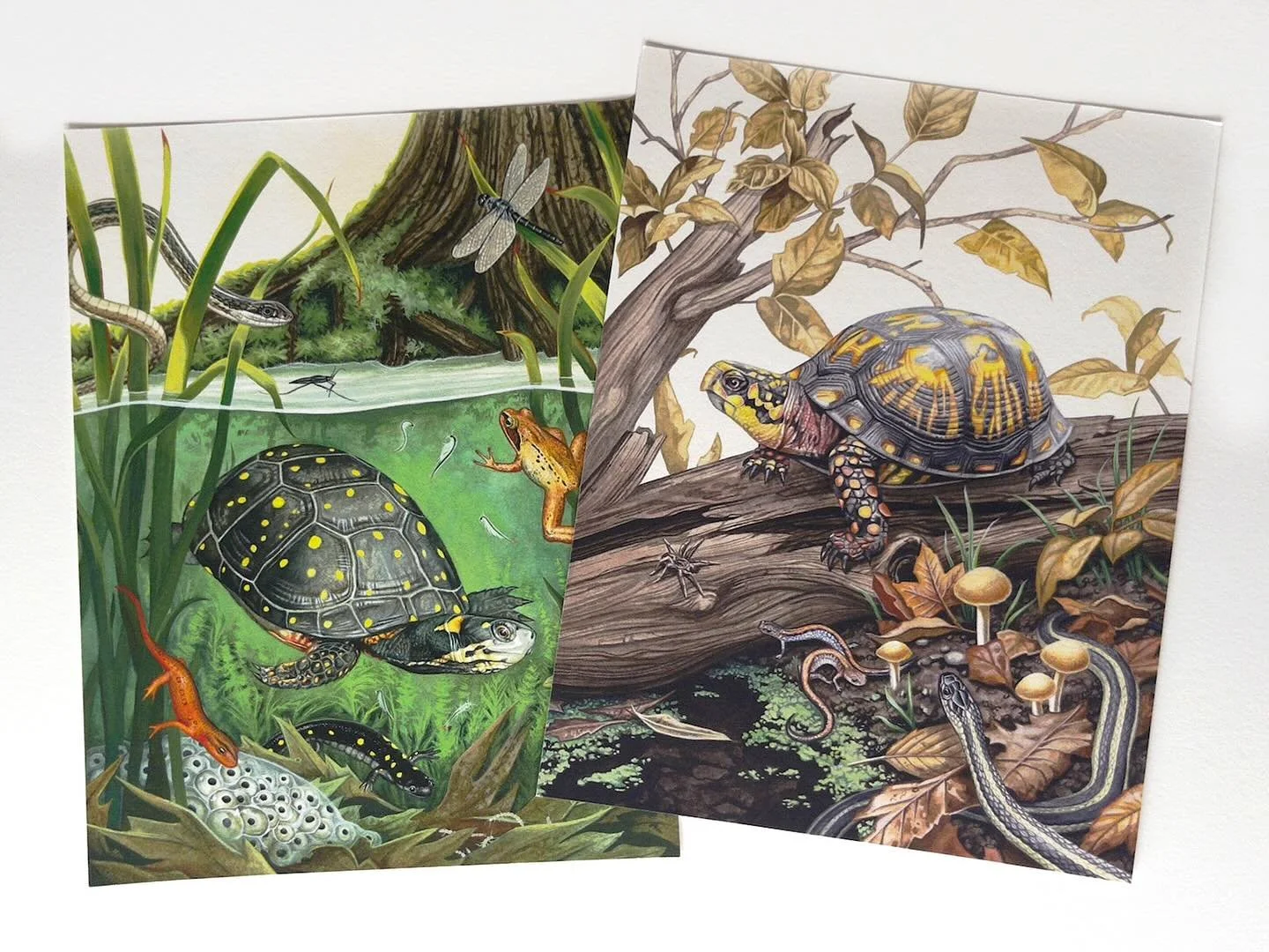 SHOP ANNOUNCEMENT! 🍃✨
My online shop re-opens this Friday, November 21 at 1pm EST with prints + originals.
Prints will be limited so I can gauge demand&mdash;so snag your favorites early!
If things sell quickly, I&rsquo;ll add a pre-order option, bu