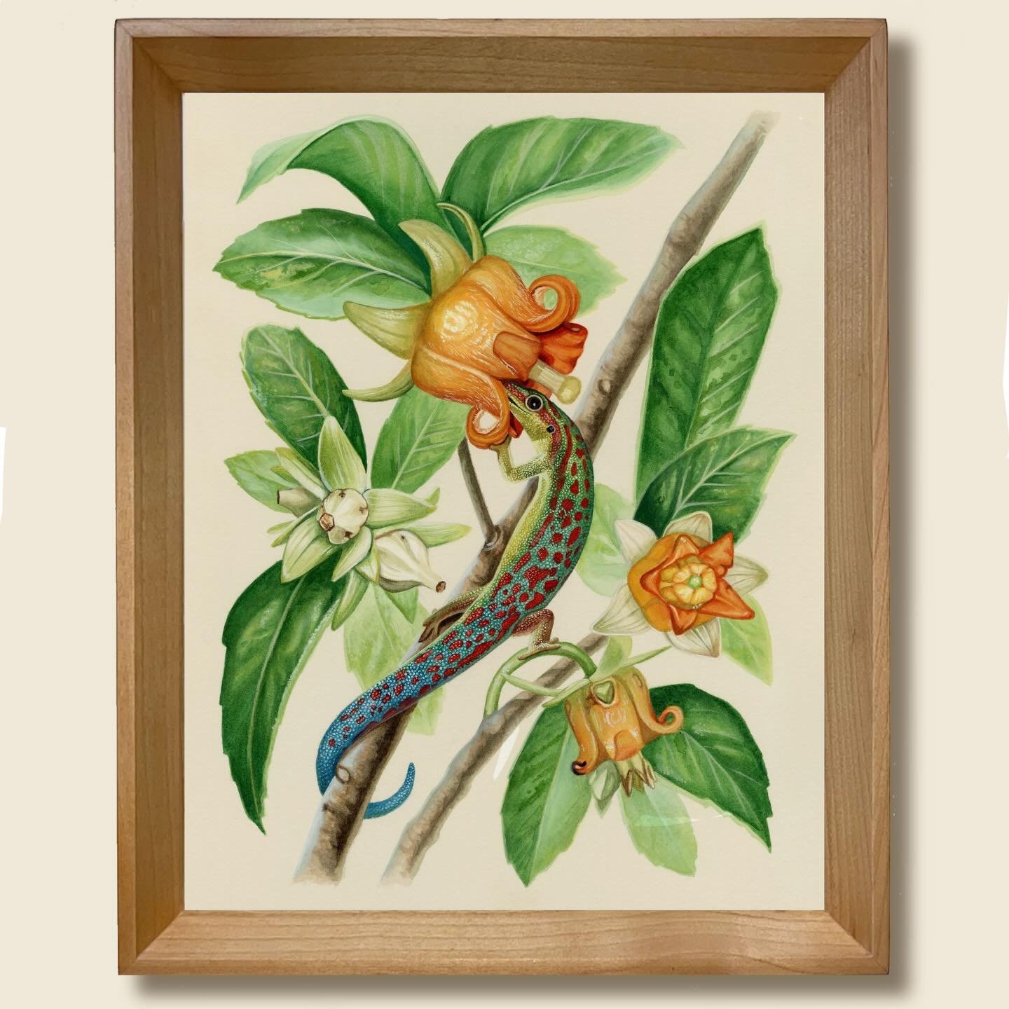 Here&rsquo;s a peak at a few things that will be available during my shop relaunch tomorrow (1pm EST)! There will be a mix of prints, small original paintings and framed originals. 🌿