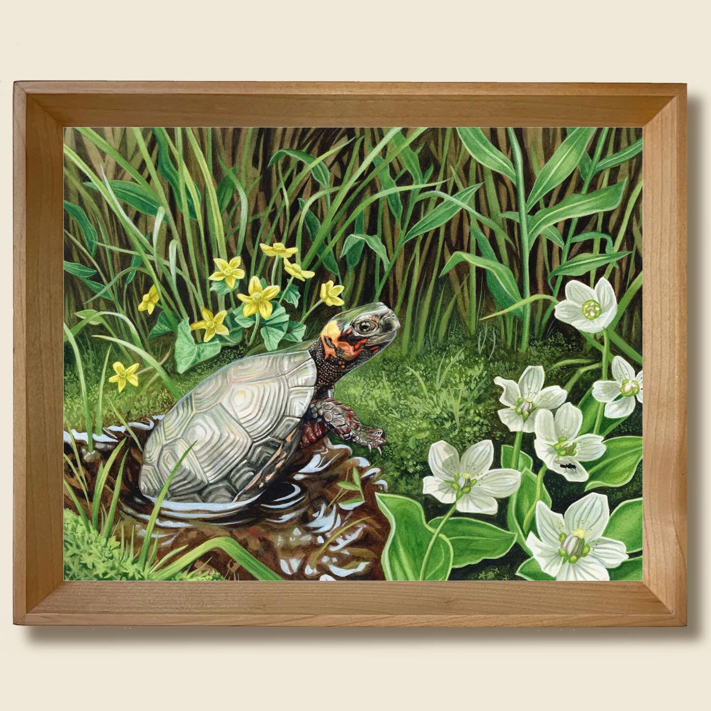 My shop is officially open! 🌿✨ Link in bio. 
This is my first time hosting my shop on my own website, so if you run into any issues, please let me know so that I can troubleshoot!