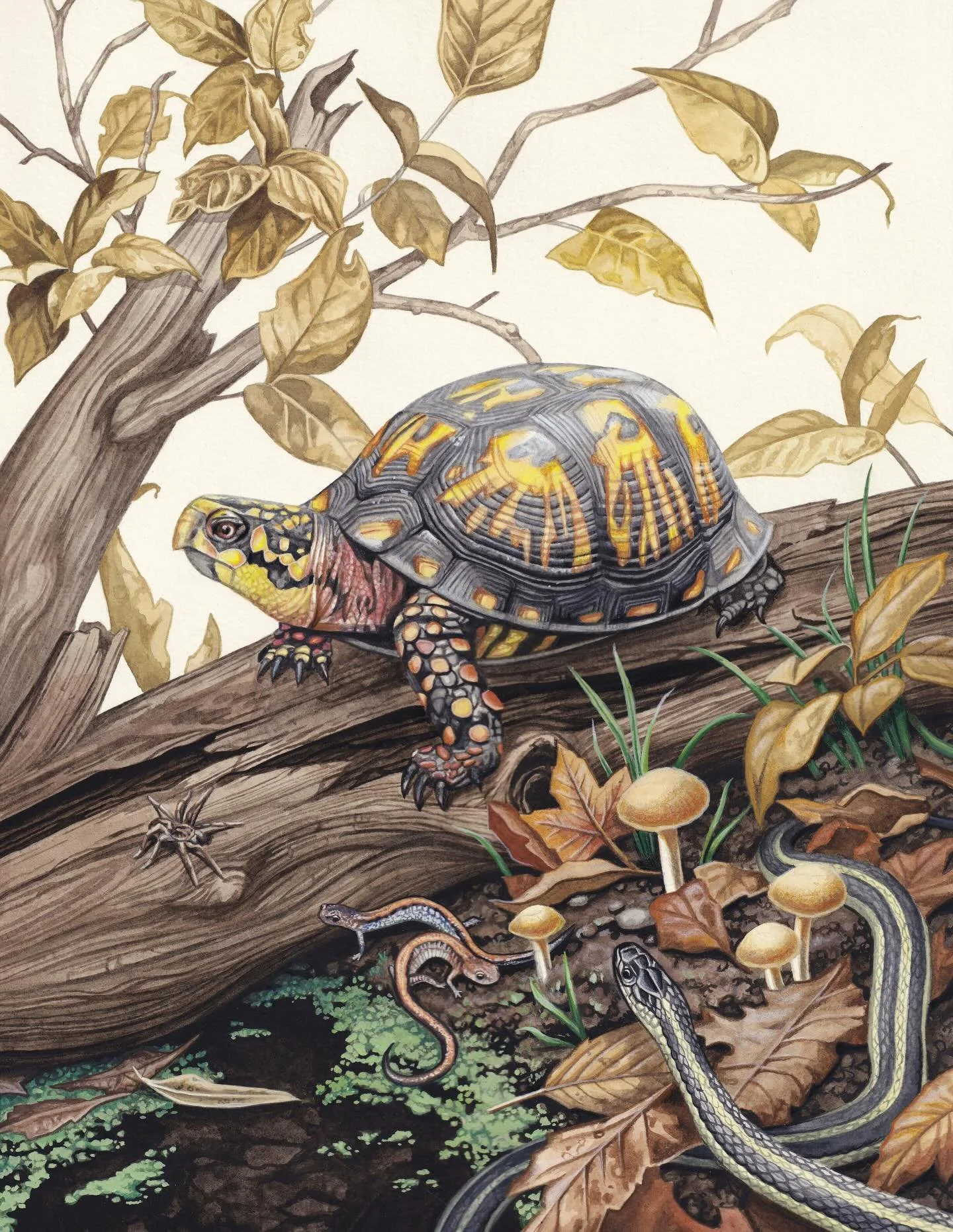 Sale! ✨I missed small business Saturday so it&rsquo;s now small business Sunday! As a thank you for a successful shop launch, everything in my shop will be up to 20% off today through next Saturday (11/30 - 12/6). There are prints, small original pai