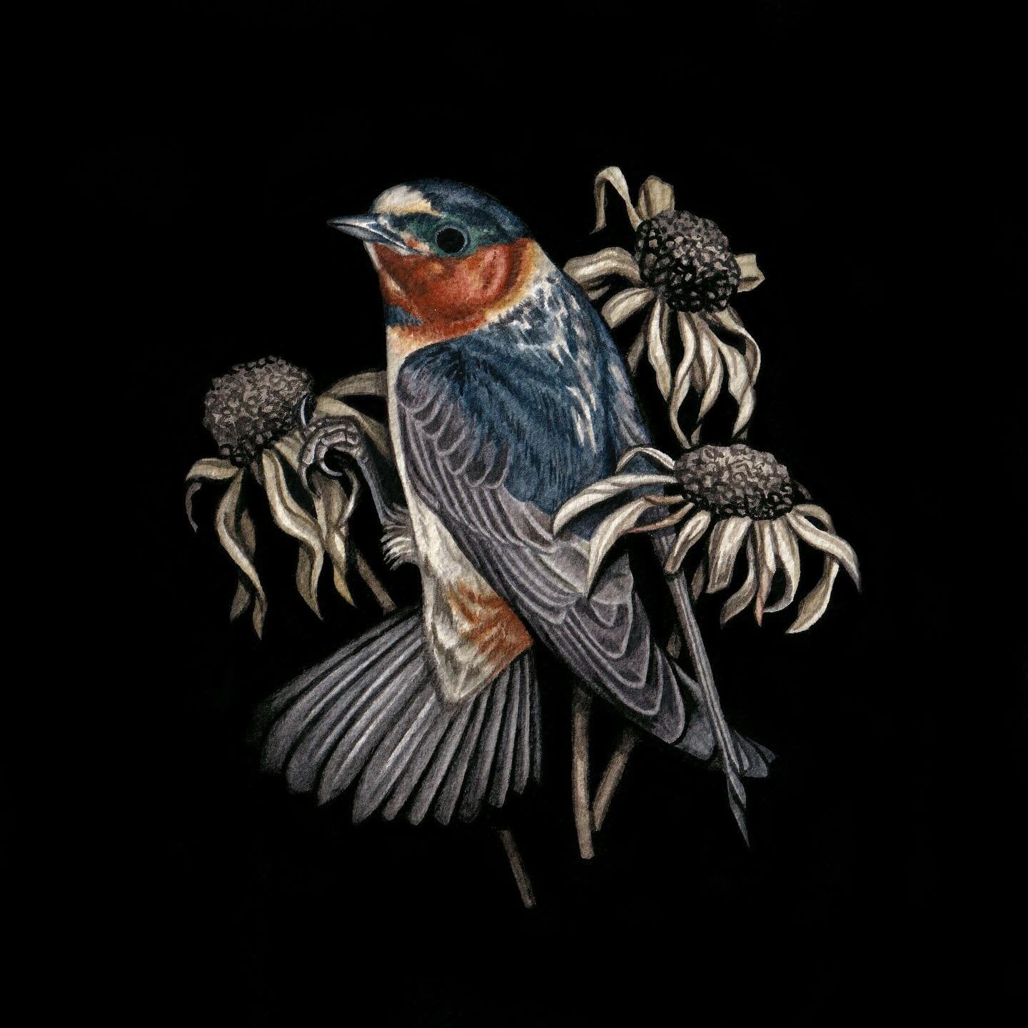 &bull; Hollow Sky &bull; Watercolor on paper. 🍂
Just a little reminder! If you&rsquo;d like your print or artwork order to arrive in time for the holidays, please place your order by December 15th. (This doesn&rsquo;t apply to orders that include pr