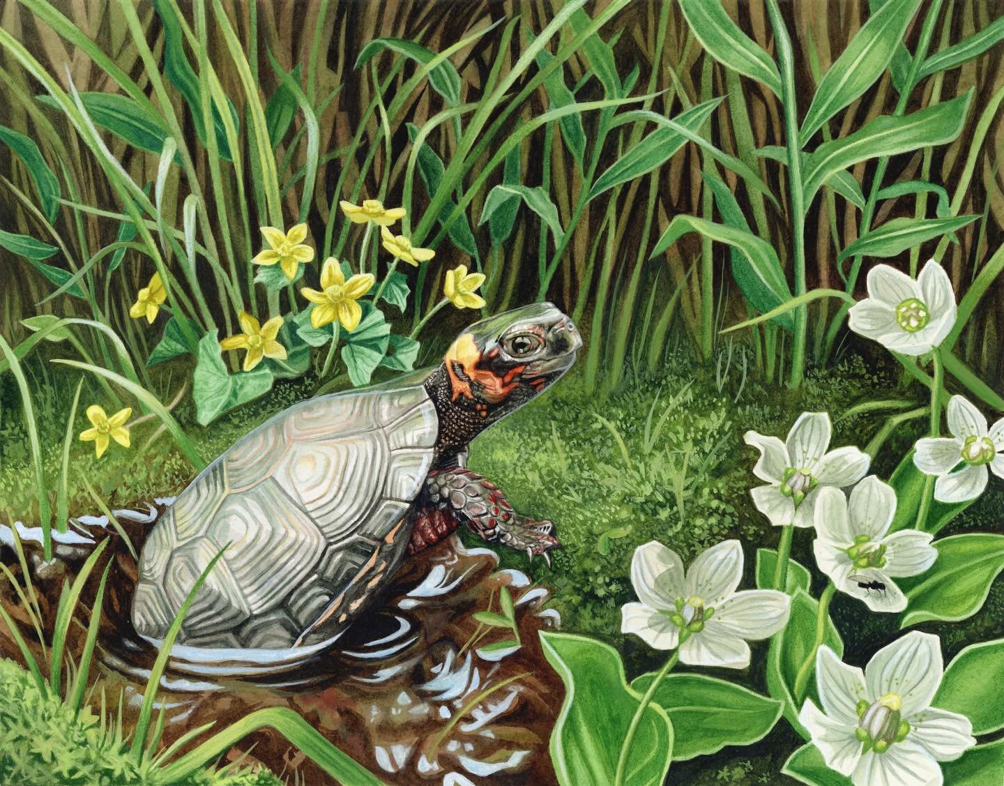 ✨ Hi again! Here&rsquo;s one final reminder to place all Holiday orders by tomorrow, December 15th, if you&rsquo;d like to receive them on time! While some favorites have gone out of stock, they are currently up for pre-order (and there are plenty ot