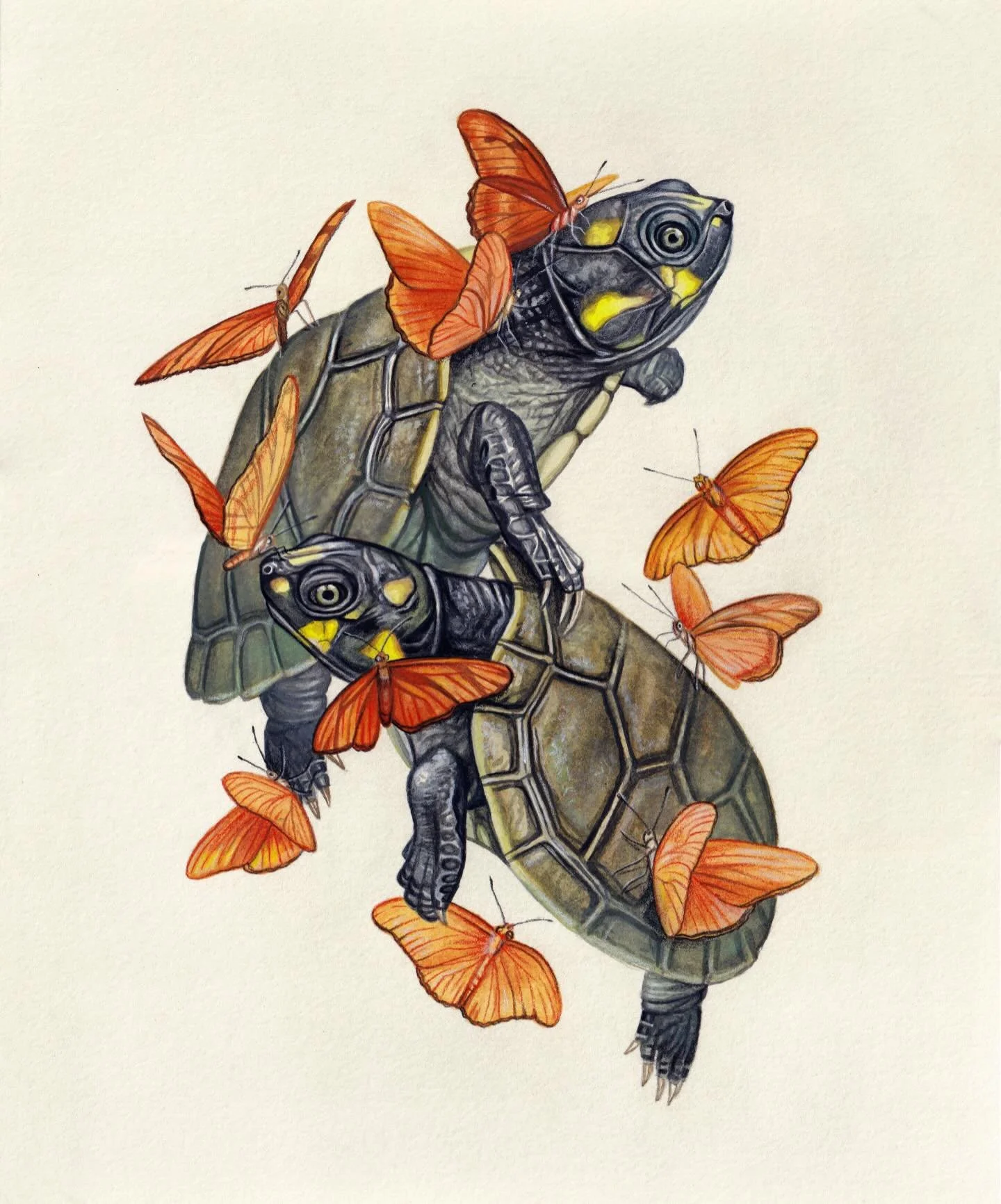 One more week to view the @archenemyarts 14th anniversary show in person! This piece, &ldquo;Turtle Tears&rdquo; is my second painting in the show. 🦋 Made with watercolor and colored pencil on paper.