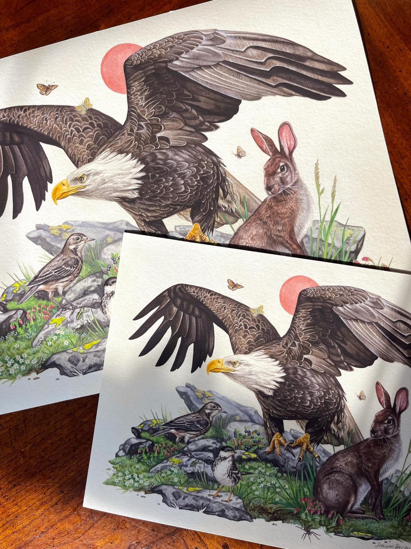 ✨Shop Announcement! ✨
For those of you who are interested, I will be adding some new and some familiar prints to my online shop this Friday at 5pm EST. 
Make sure to subscribe to my newsletter so you don&rsquo;t miss out! (Link in bio).