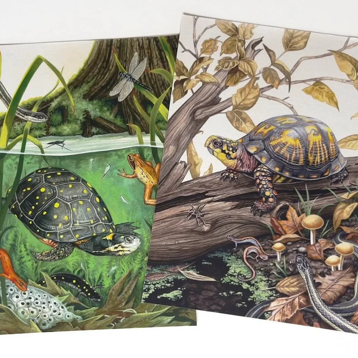 My sh0p is now restocked with some new and familiar prints and originals! 🤭 The link is in my bio!