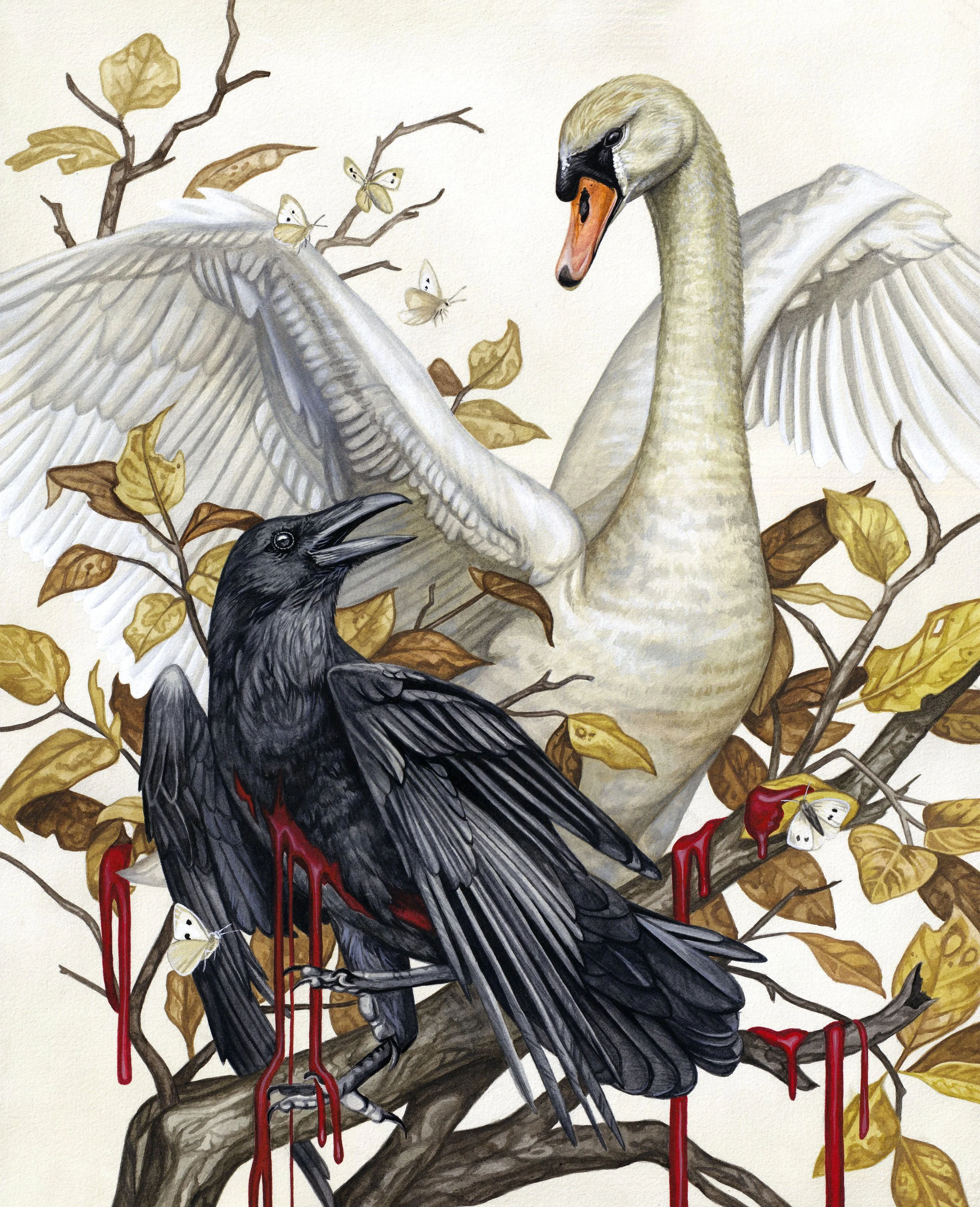 Nigredo:Albedo.jpg